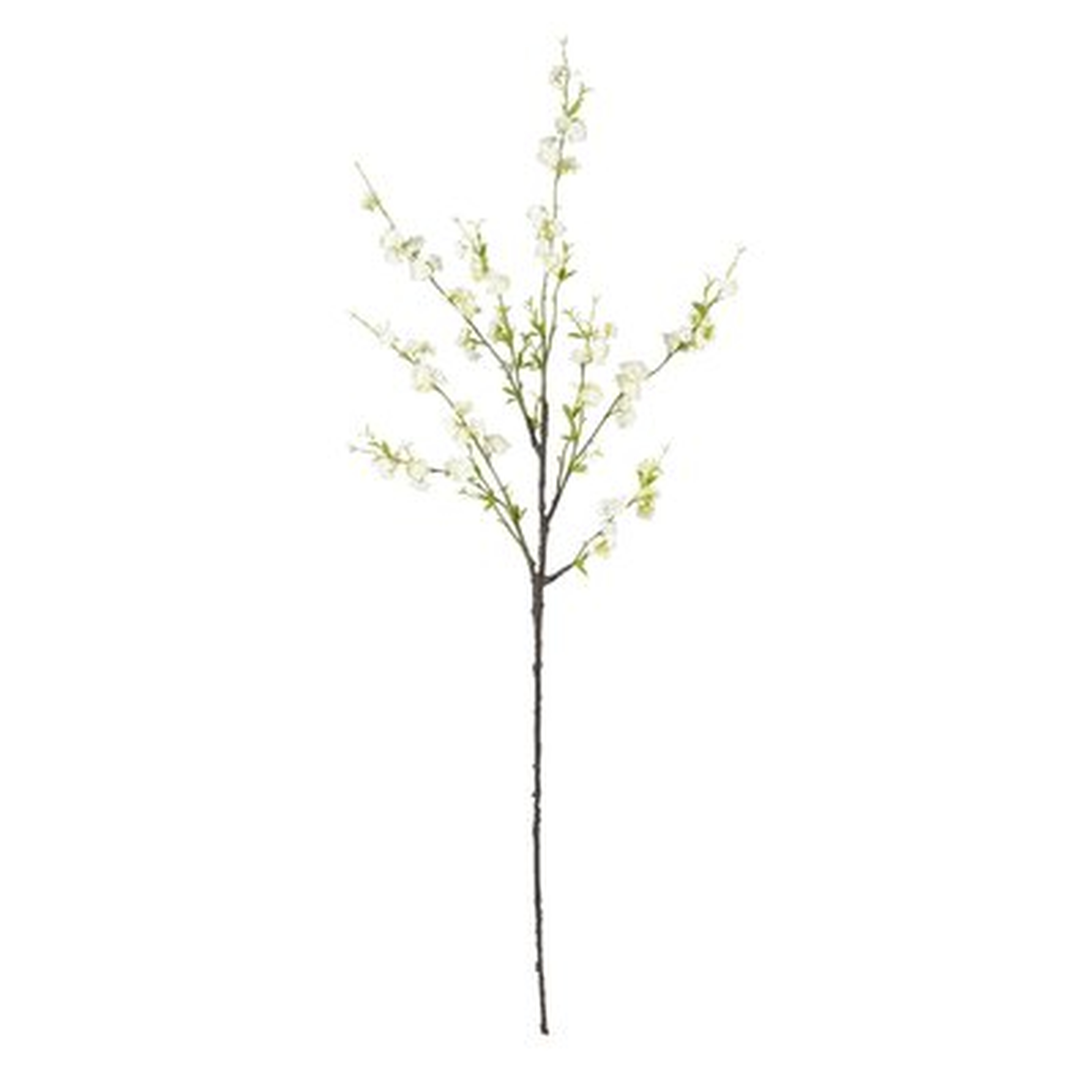 Cherry Blossom Branch (set of 6) - Wayfair