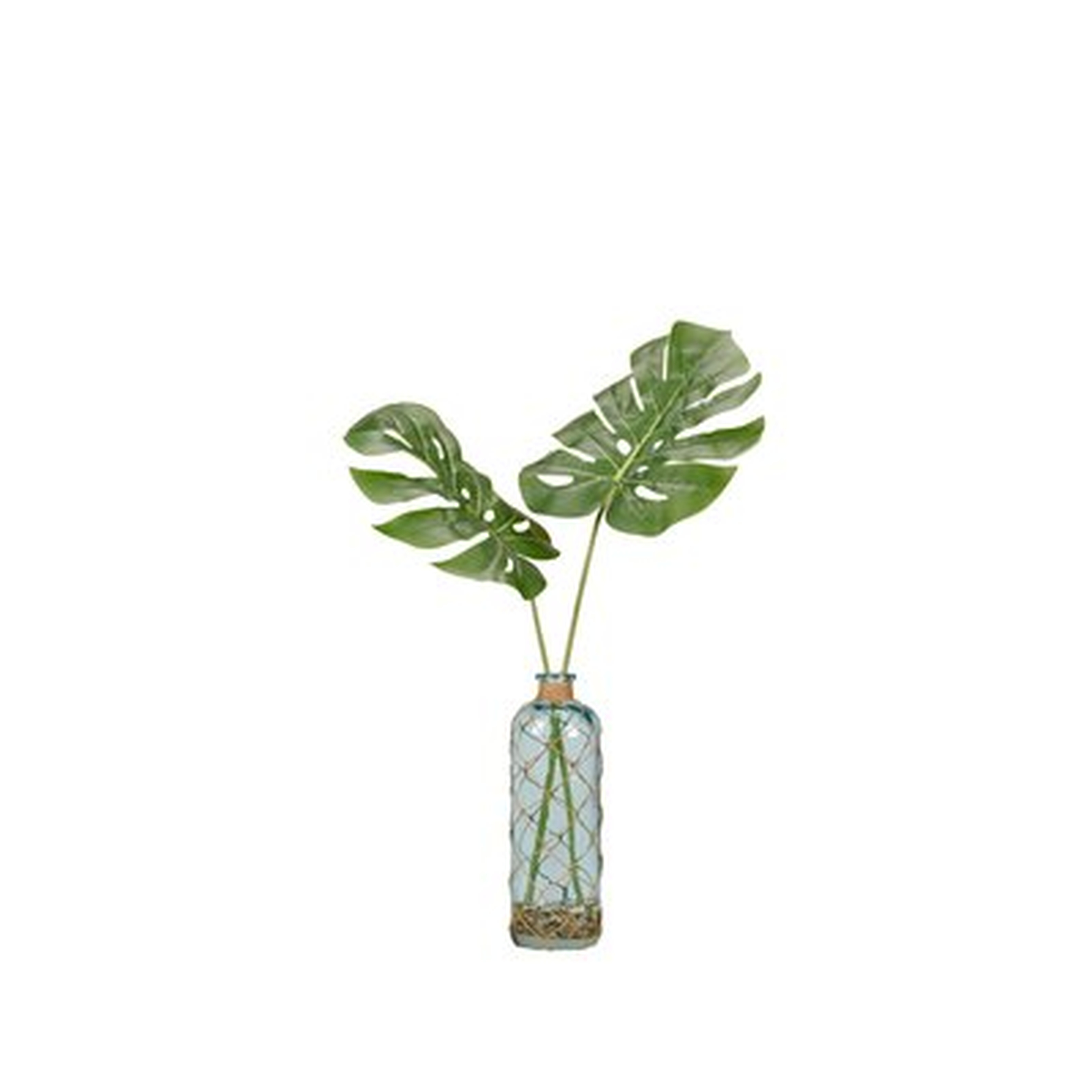 Spilt Leaf Philo Plant in Decorative Vase - Wayfair