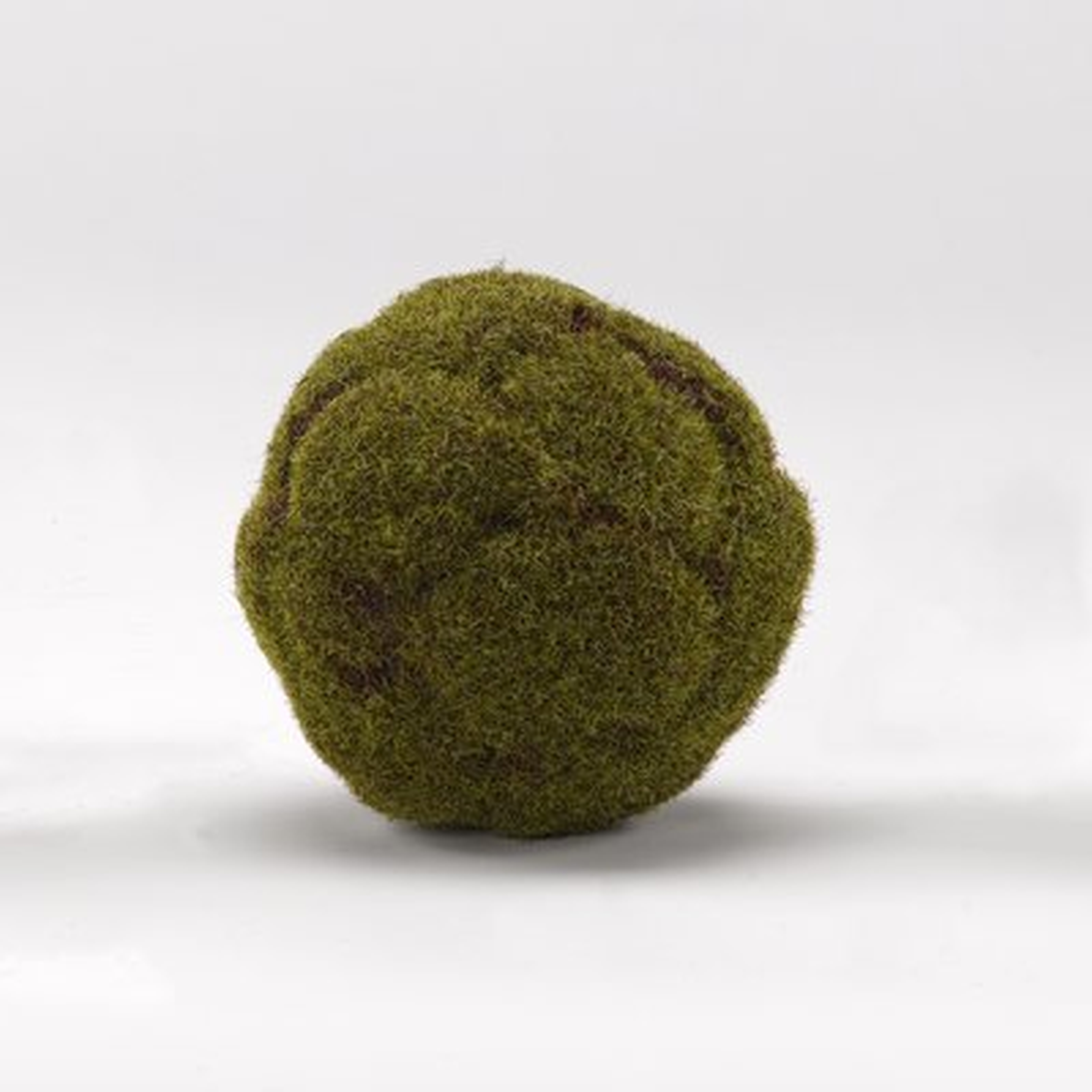 Millwood Pines Crackled Moss Ball Plant (Set of 3) - Wayfair