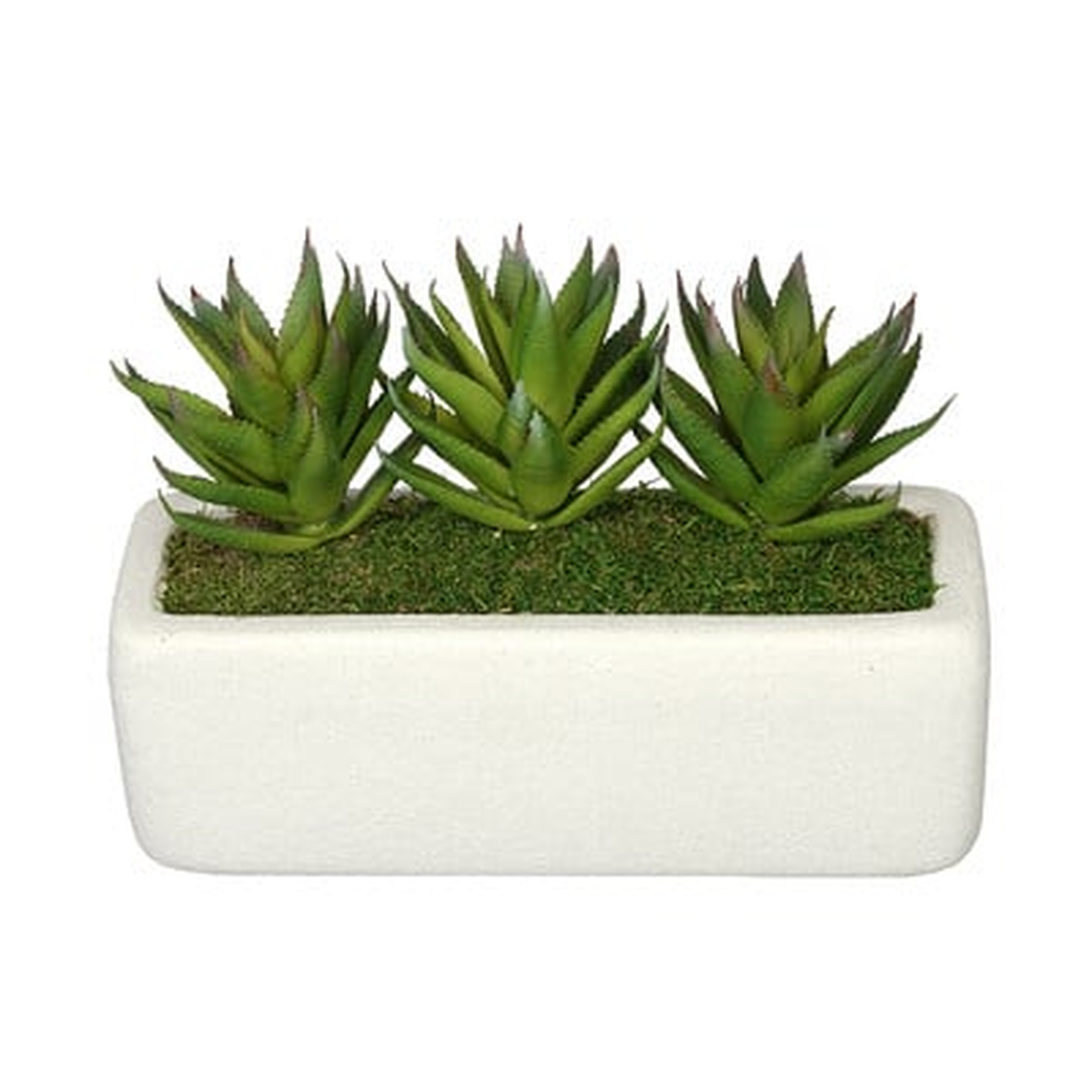 Artificial Green Aloe Plant in Decorative Vase - Wayfair