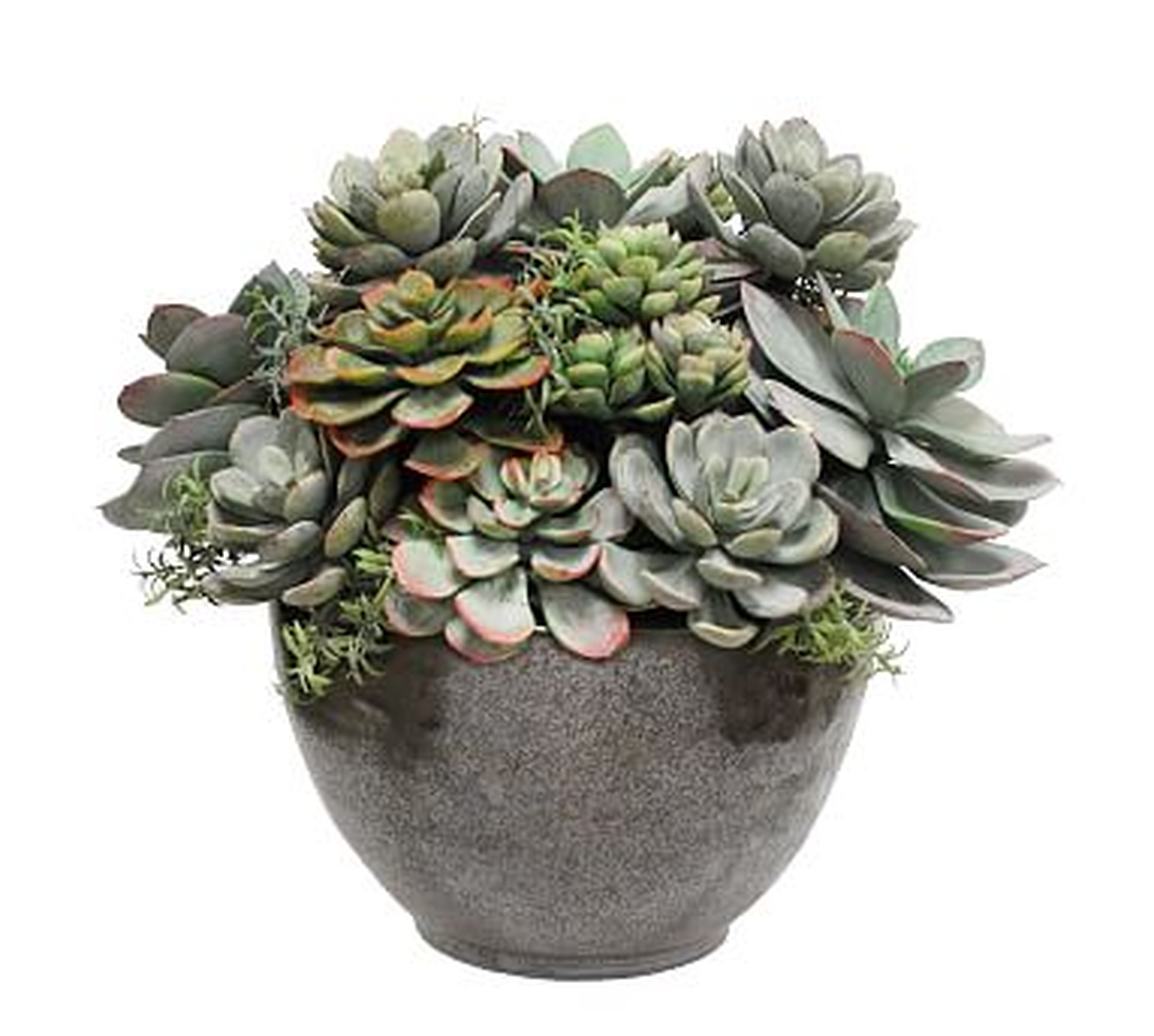 Faux Mixed Succulent In Bowl, Green, Small, 13" - Pottery Barn