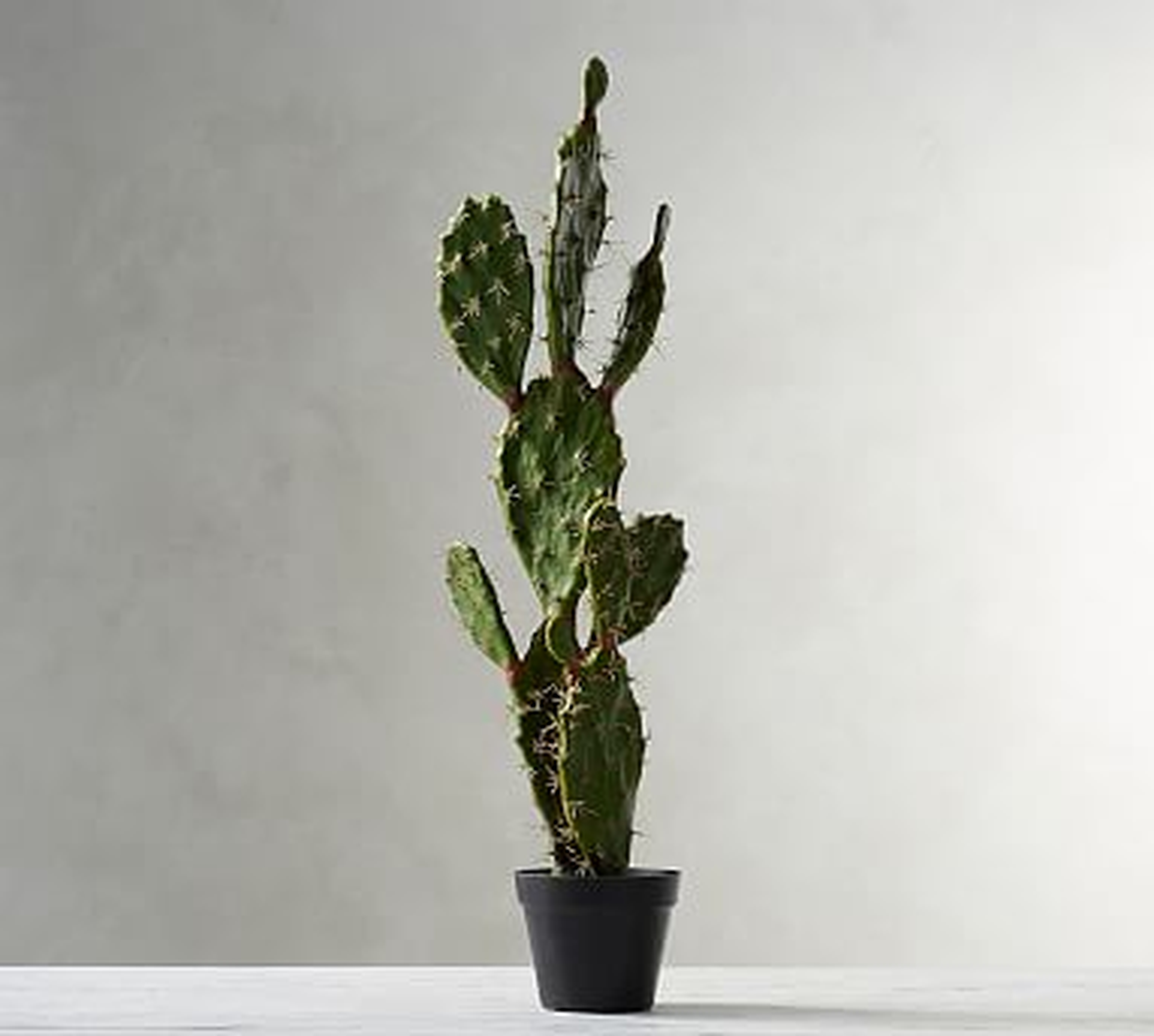 Faux Potted Opuntia Cactus - Large - Pottery Barn