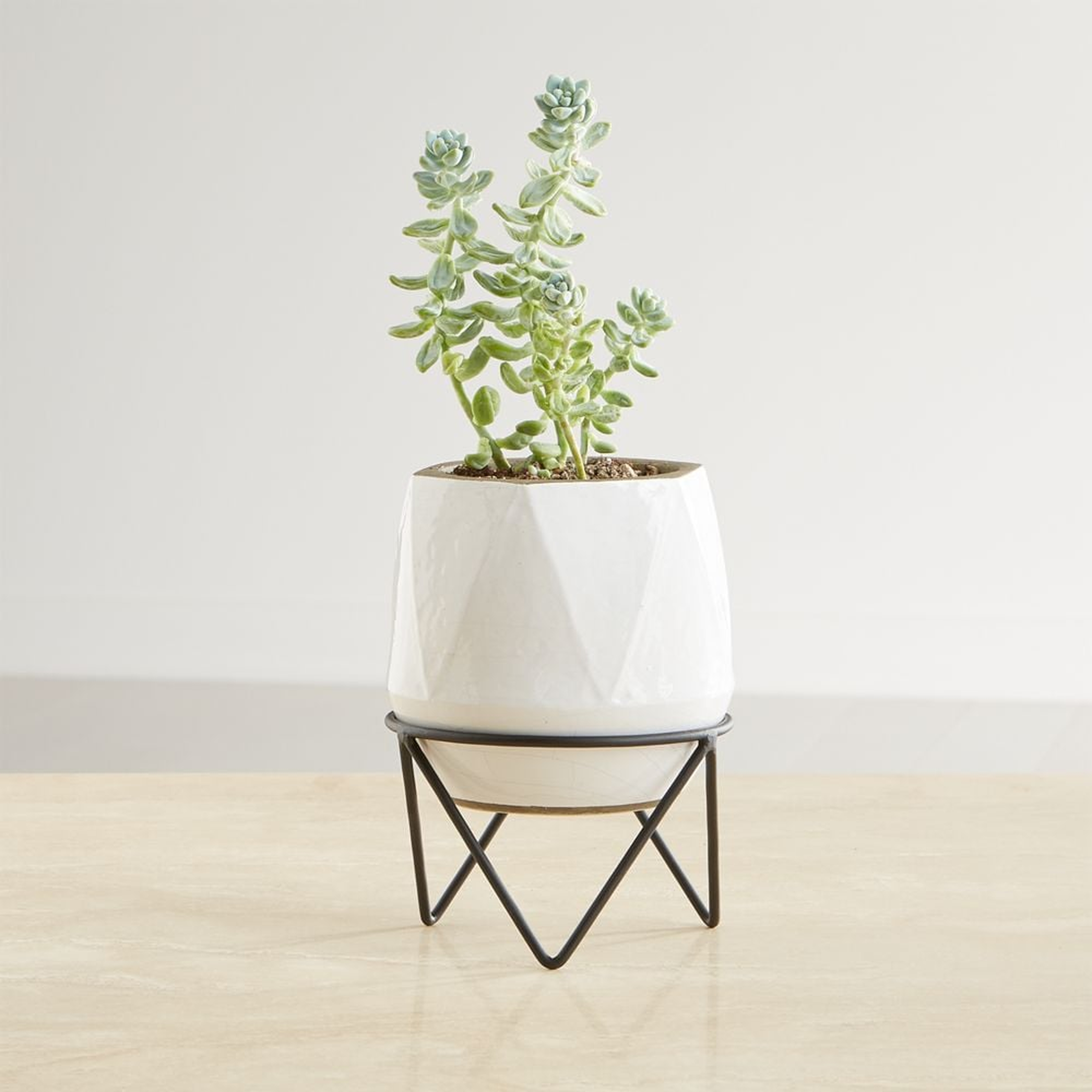 Aaro Small Geo Planter with Stand - Crate and Barrel