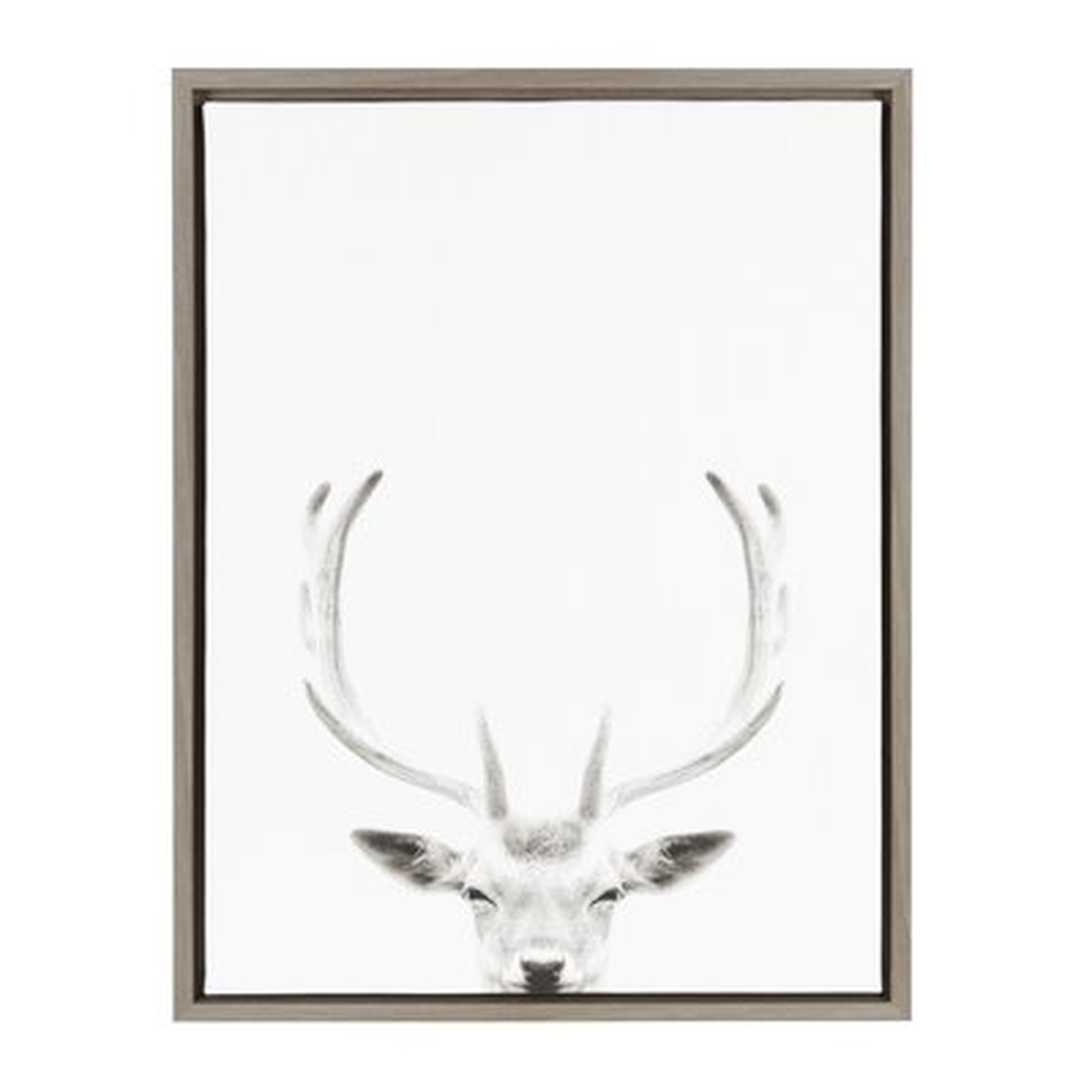 'Sylvie Deer with Antlers Black and White Portrait' Framed Photographic Print on Canvas - Wayfair