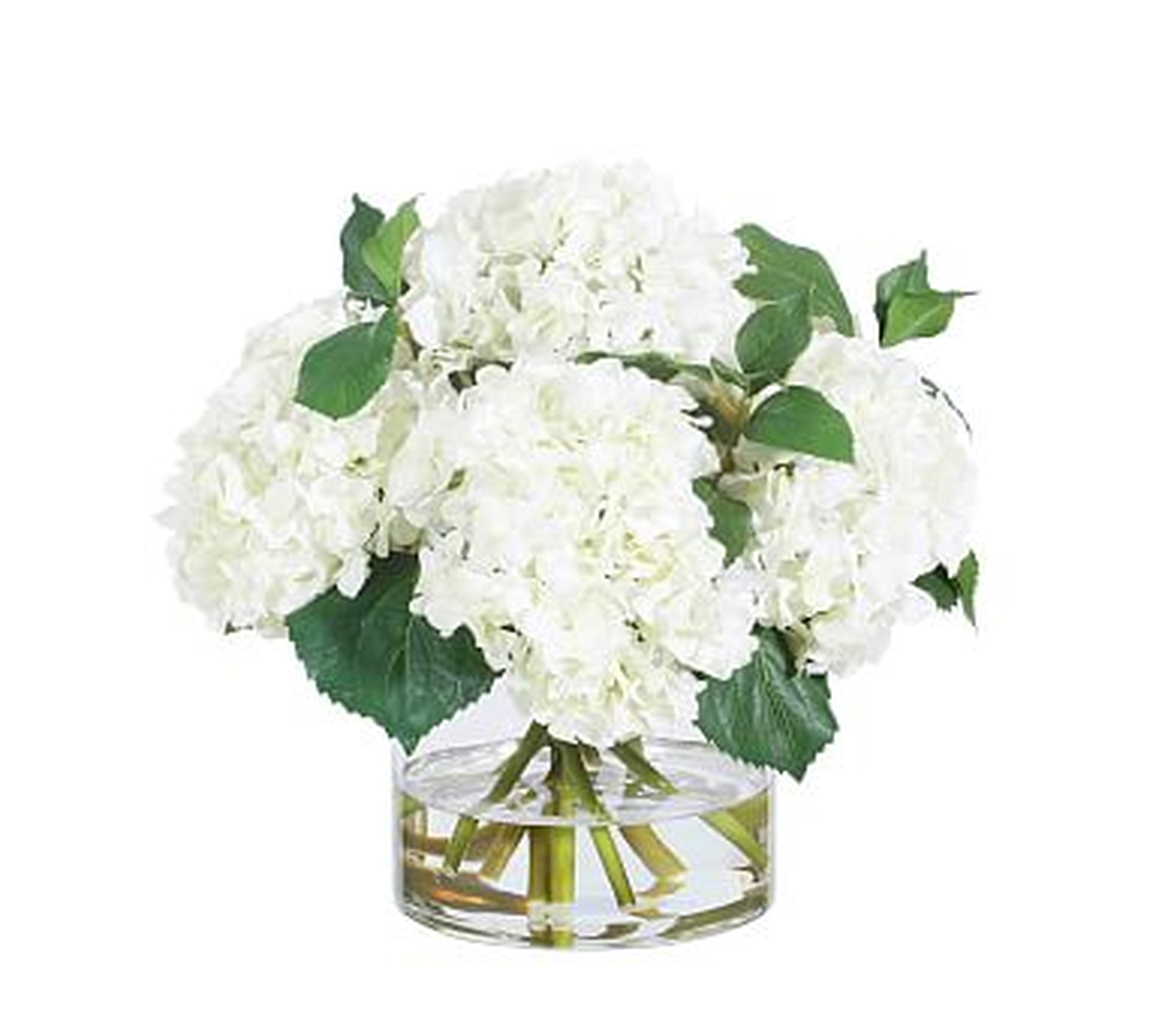 Faux White Hydrangeas In Glass Vase - Pottery Barn