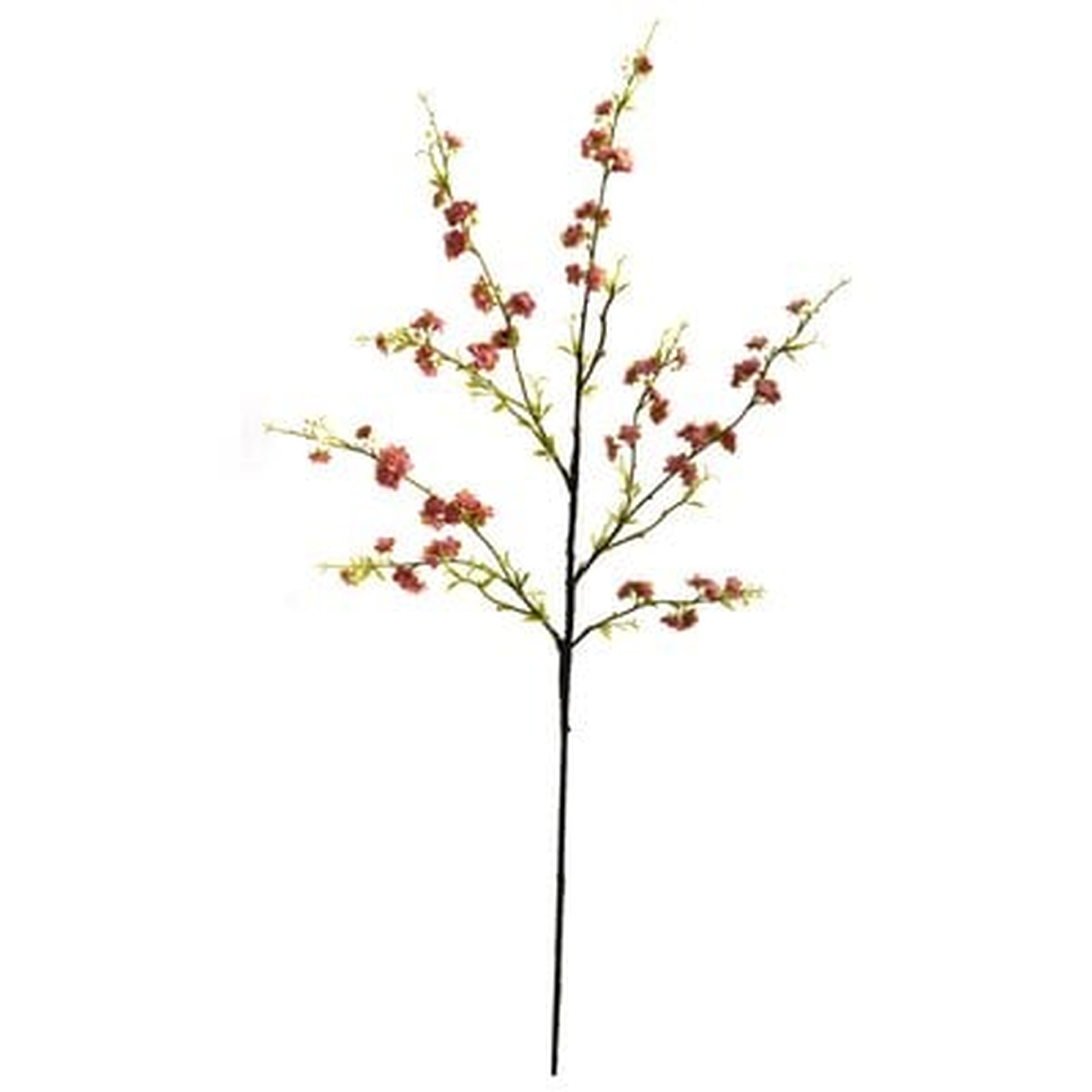 6 Piece Blossom Branch - Wayfair