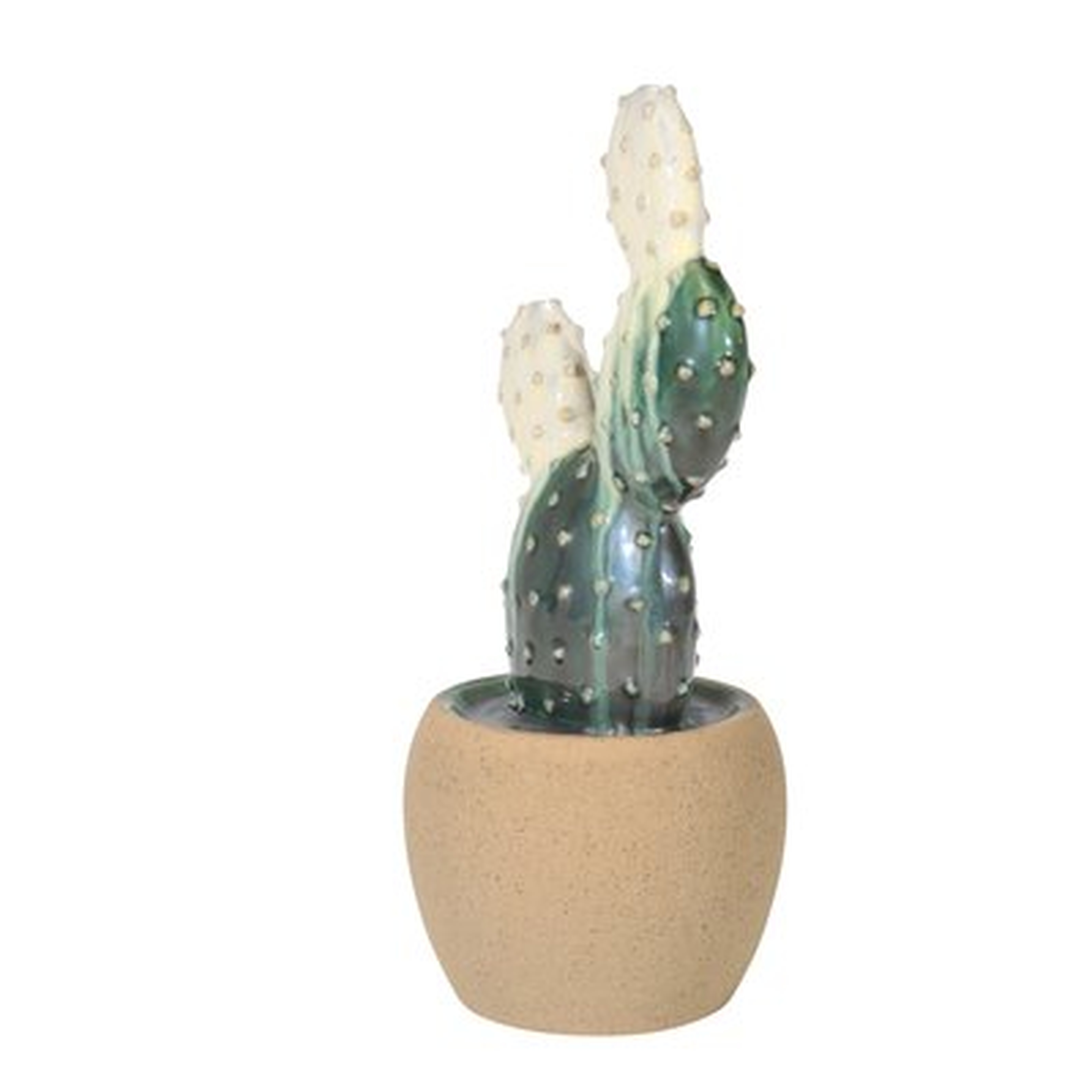 Schell Modern Ceramic Cactus Decoration Sculpture - AllModern
