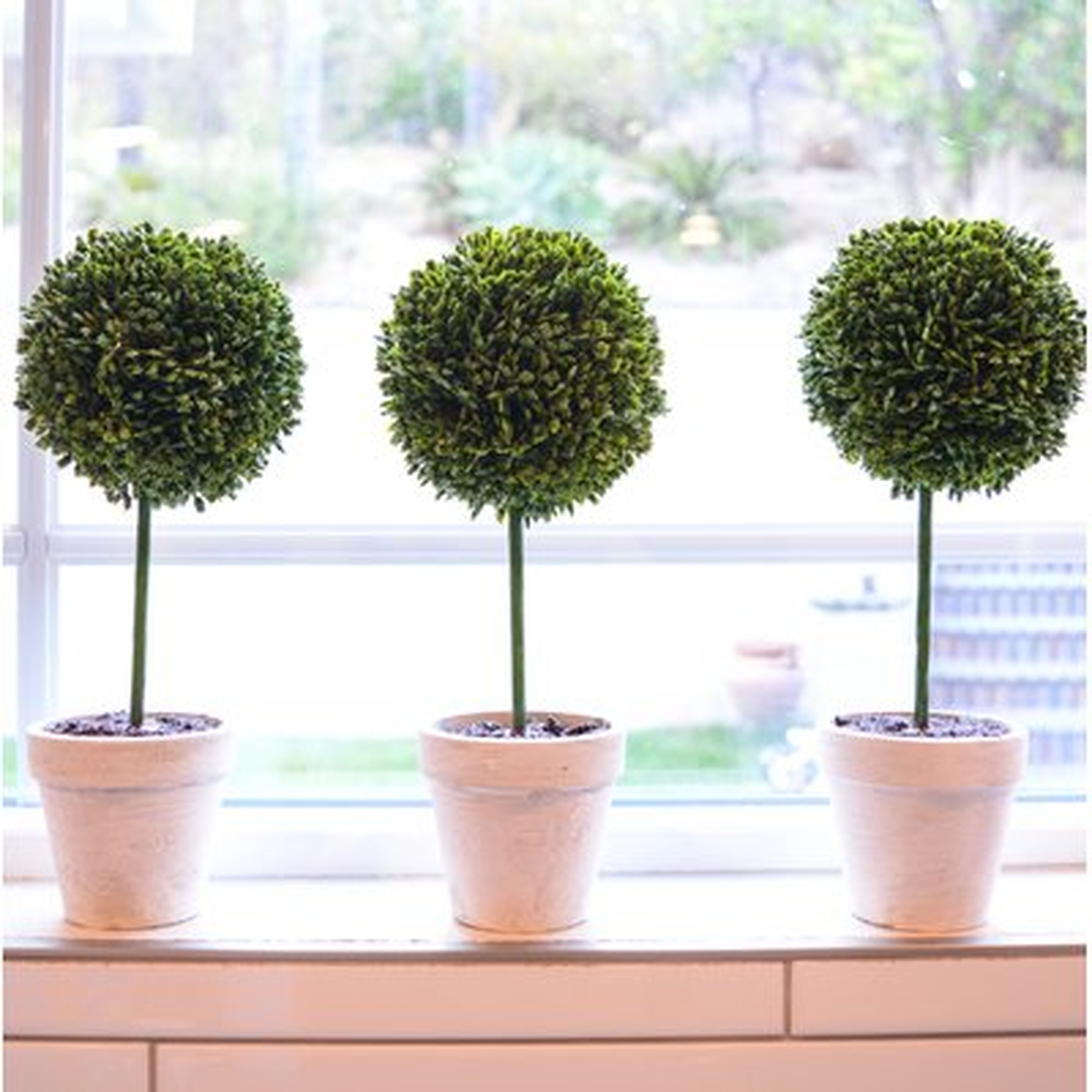 Faux Preserved Boxwood Floor Topiary in Pot - Birch Lane