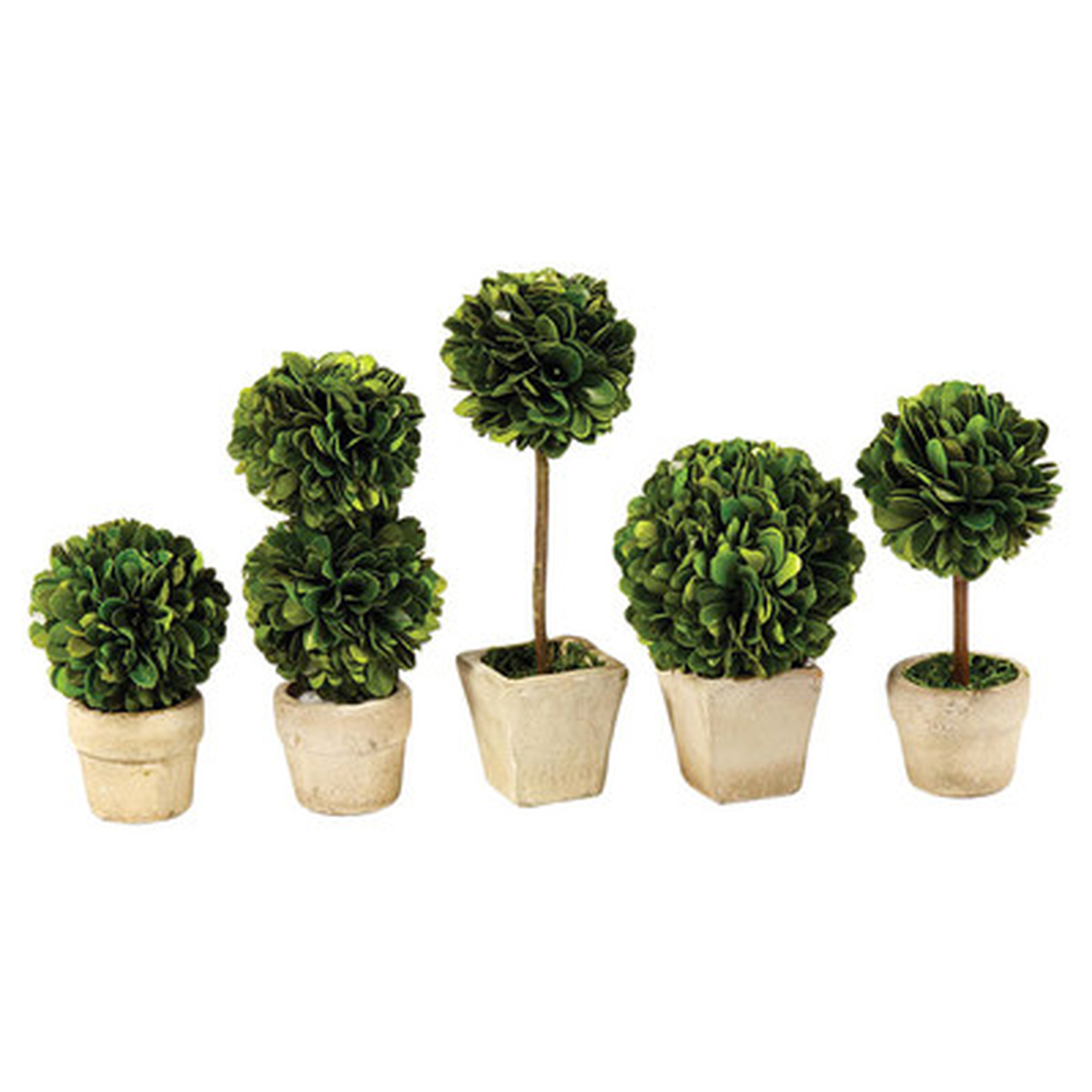 5 Piece Gaudreau Mini Boxwood Topiary in Pot Set - Birch Lane