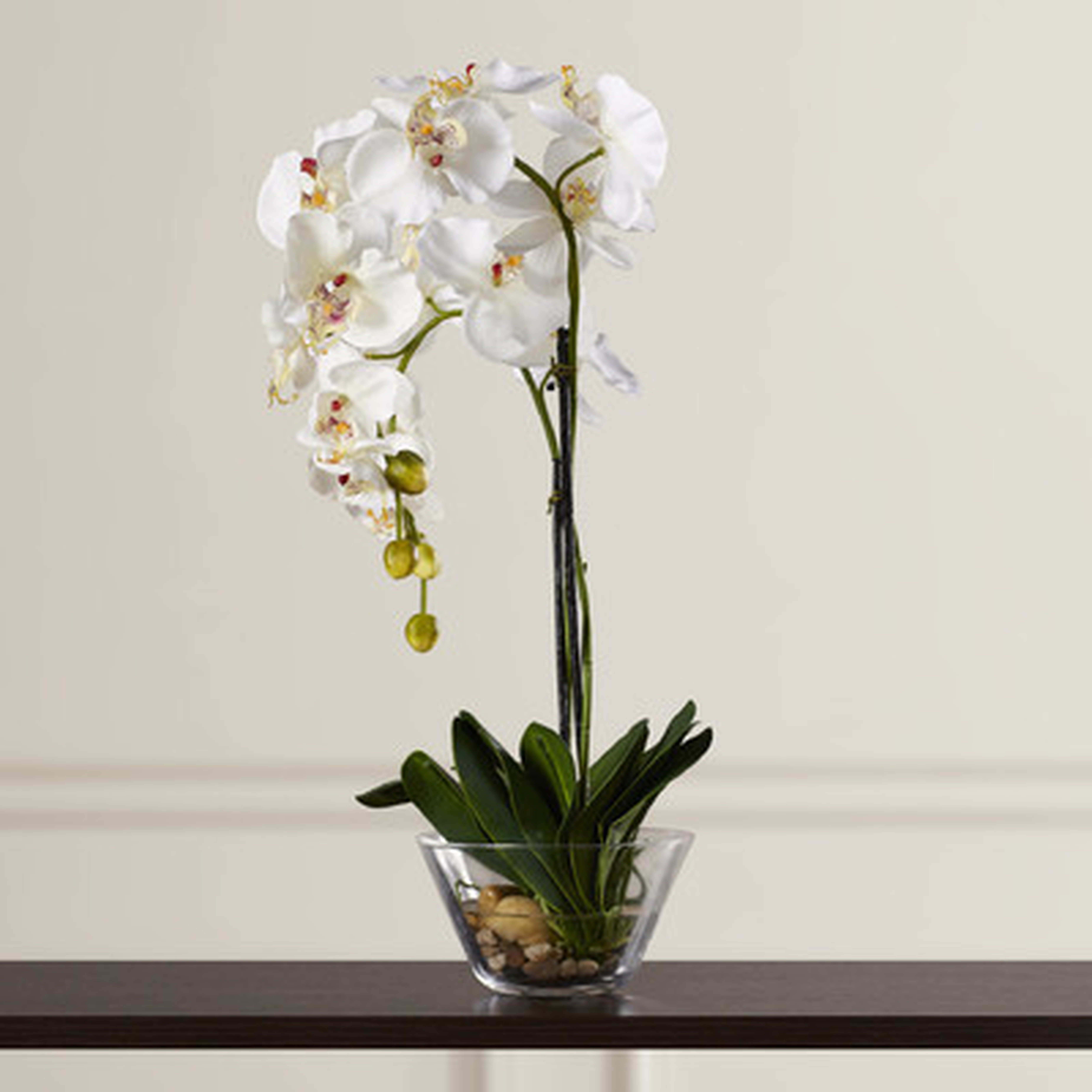 Phalaenopsis Silk Orchid in Glass Vase - AllModern
