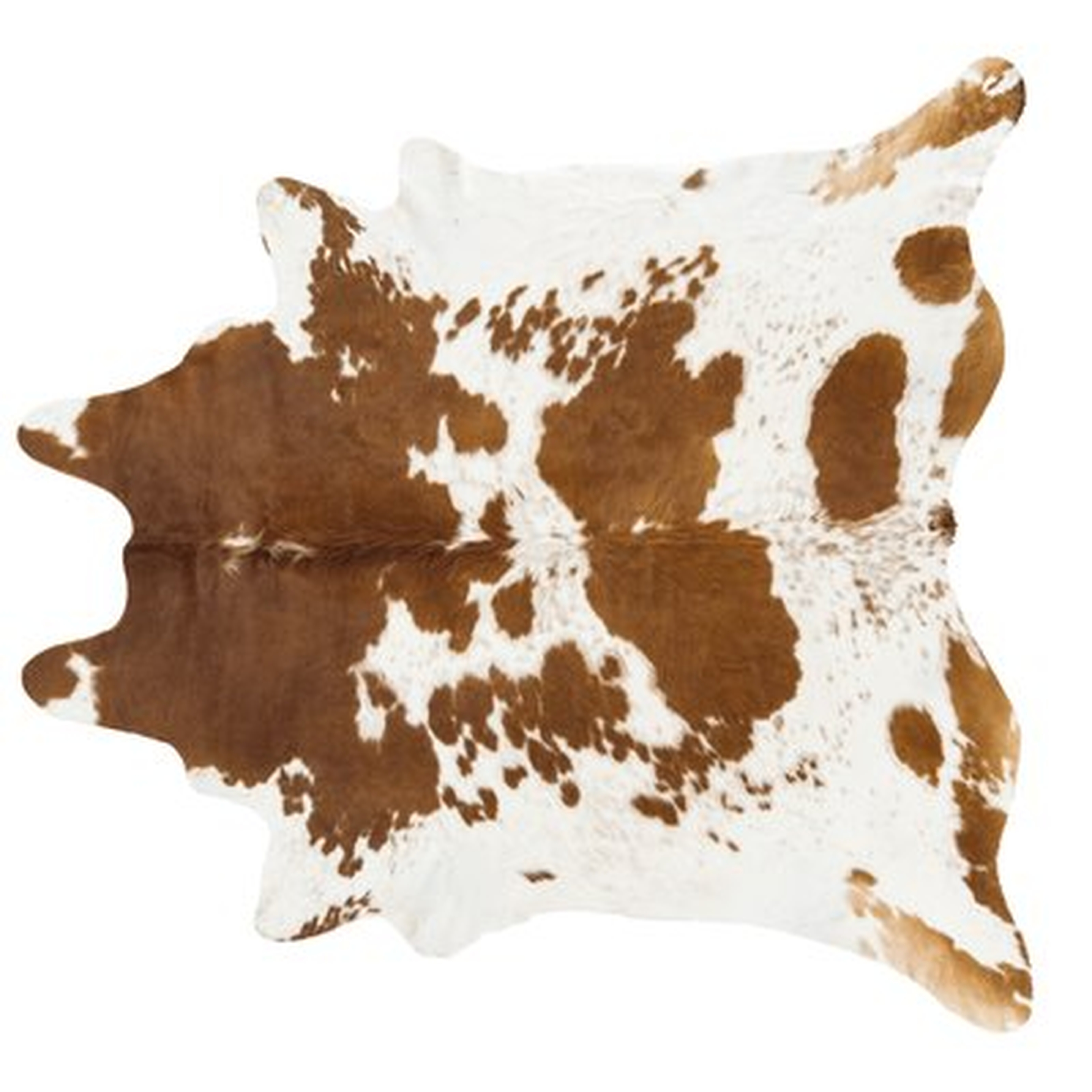 Handmade Brown/White Area Rug - AllModern