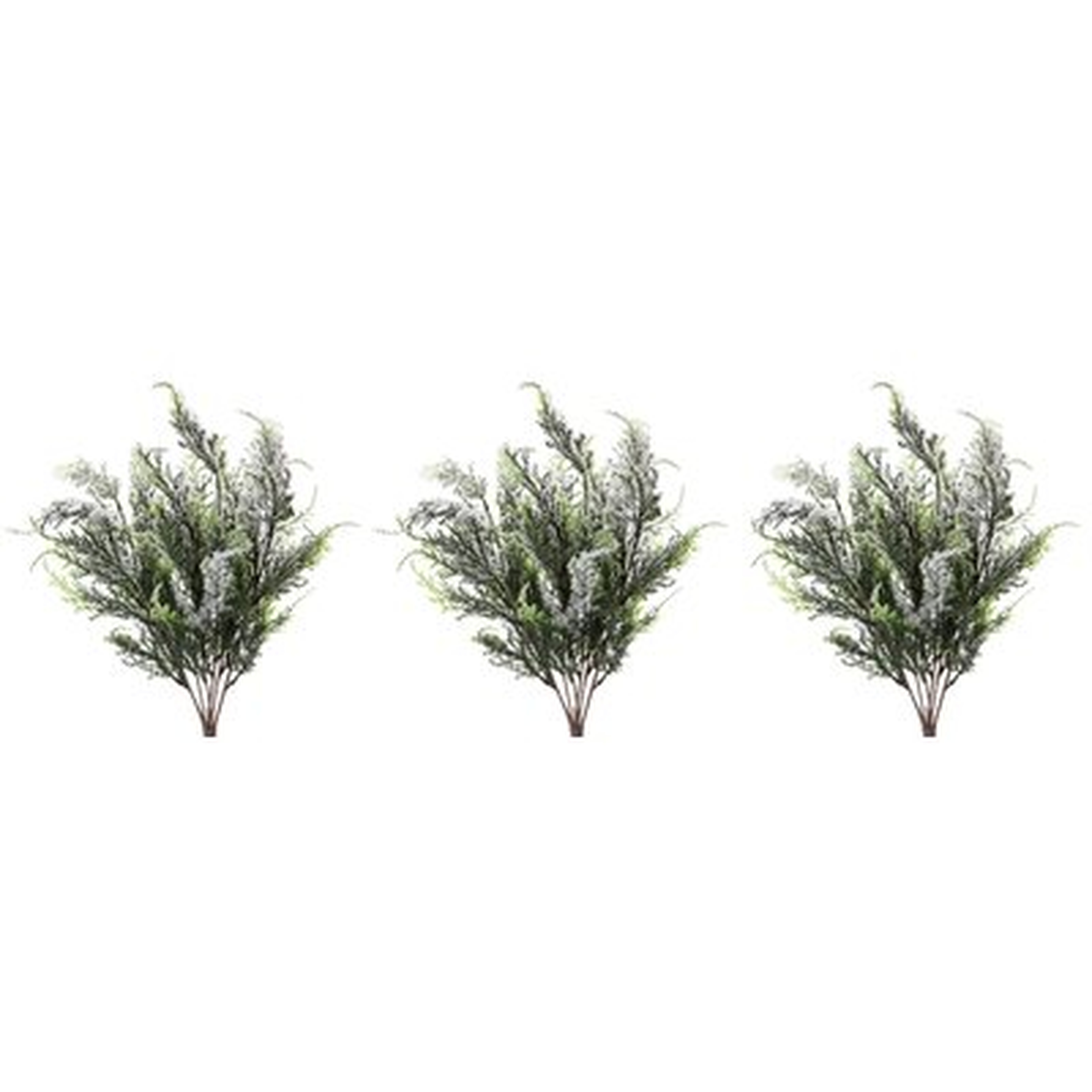 7 Stems Cypress Branch - Wayfair
