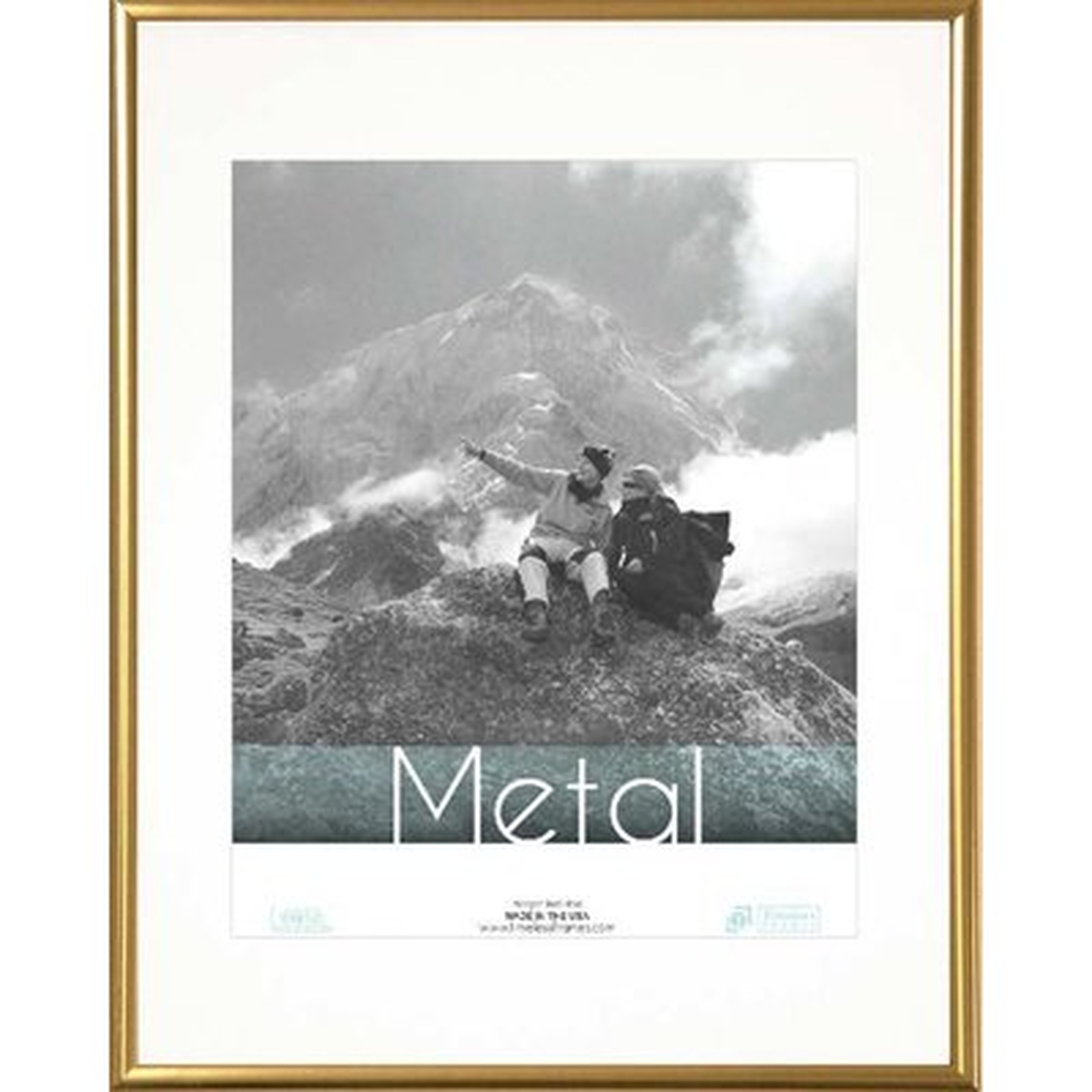 Hollman Metal Picture Frame - AllModern