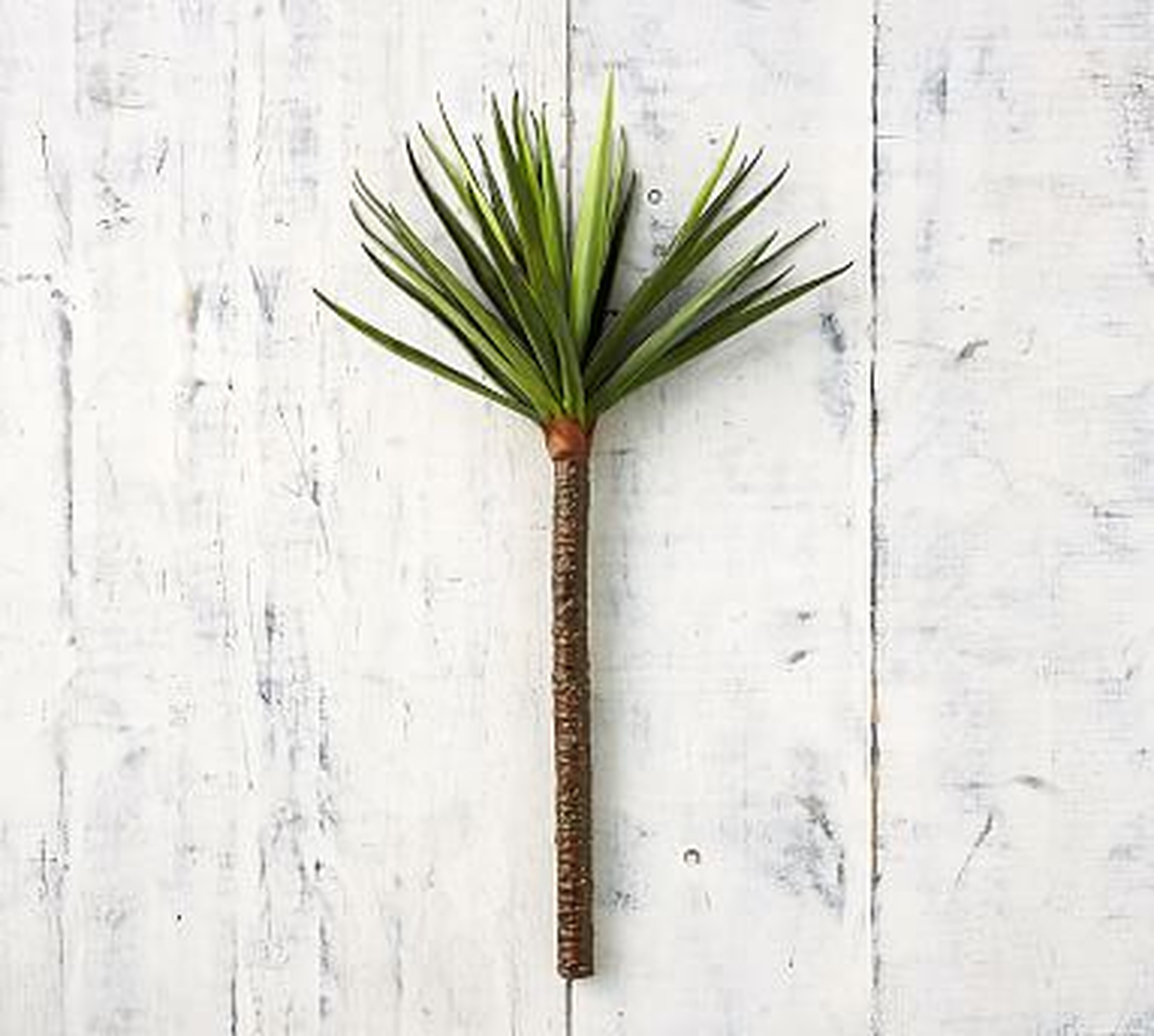 Faux Yucca Branch - Pottery Barn