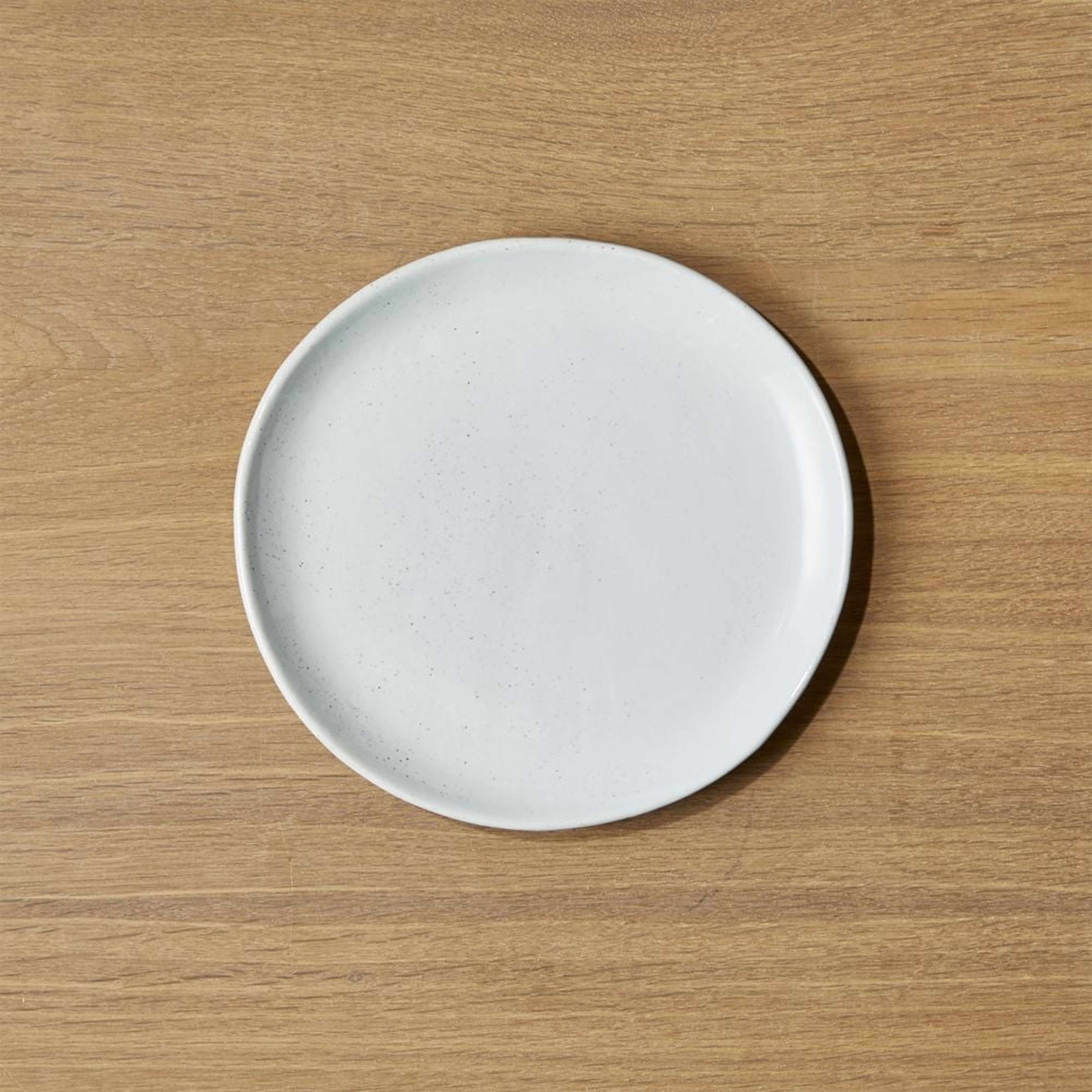 Welcome II Salad Plate - Crate and Barrel