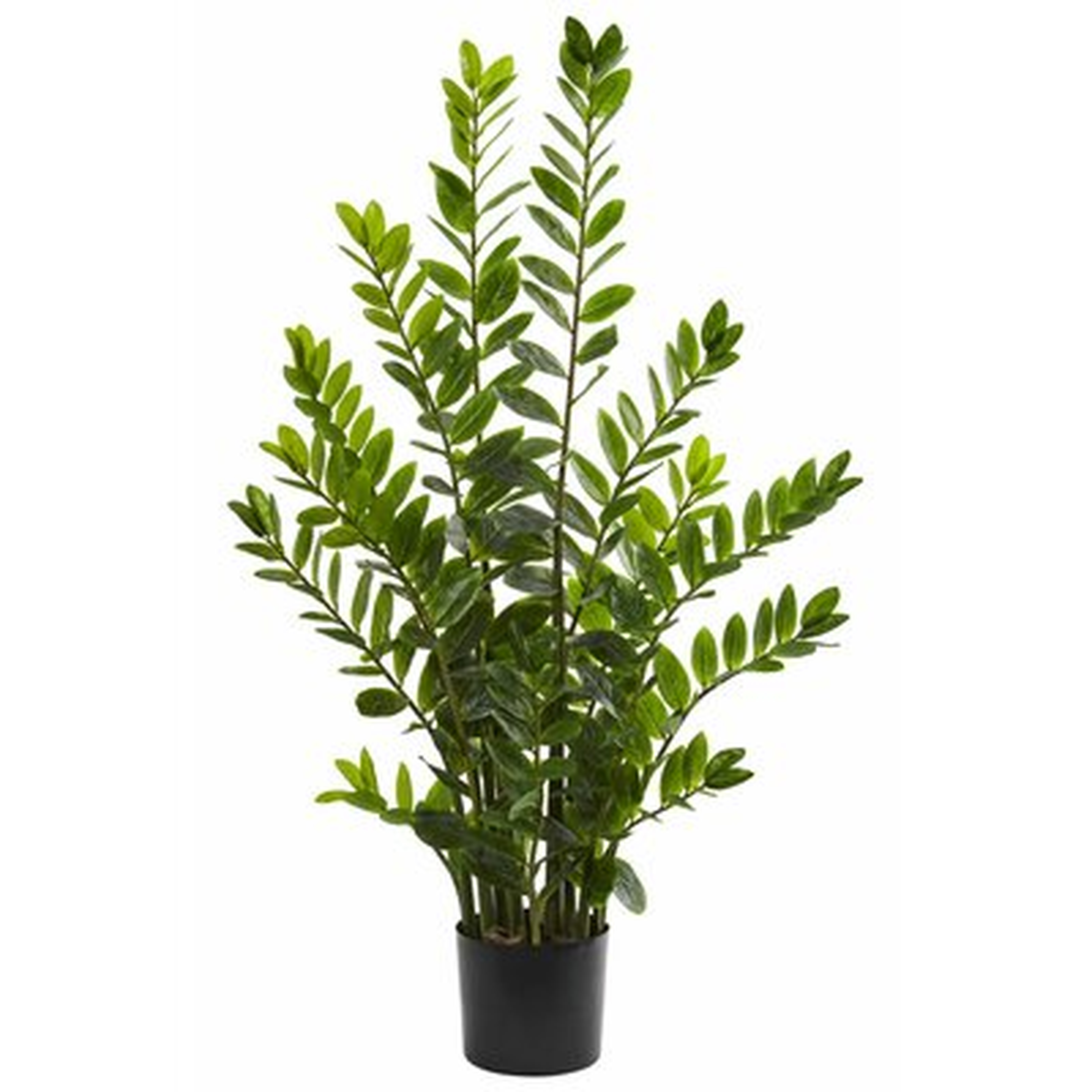 Artificial Zamioculcas Foliage Plant in Planter - Wayfair