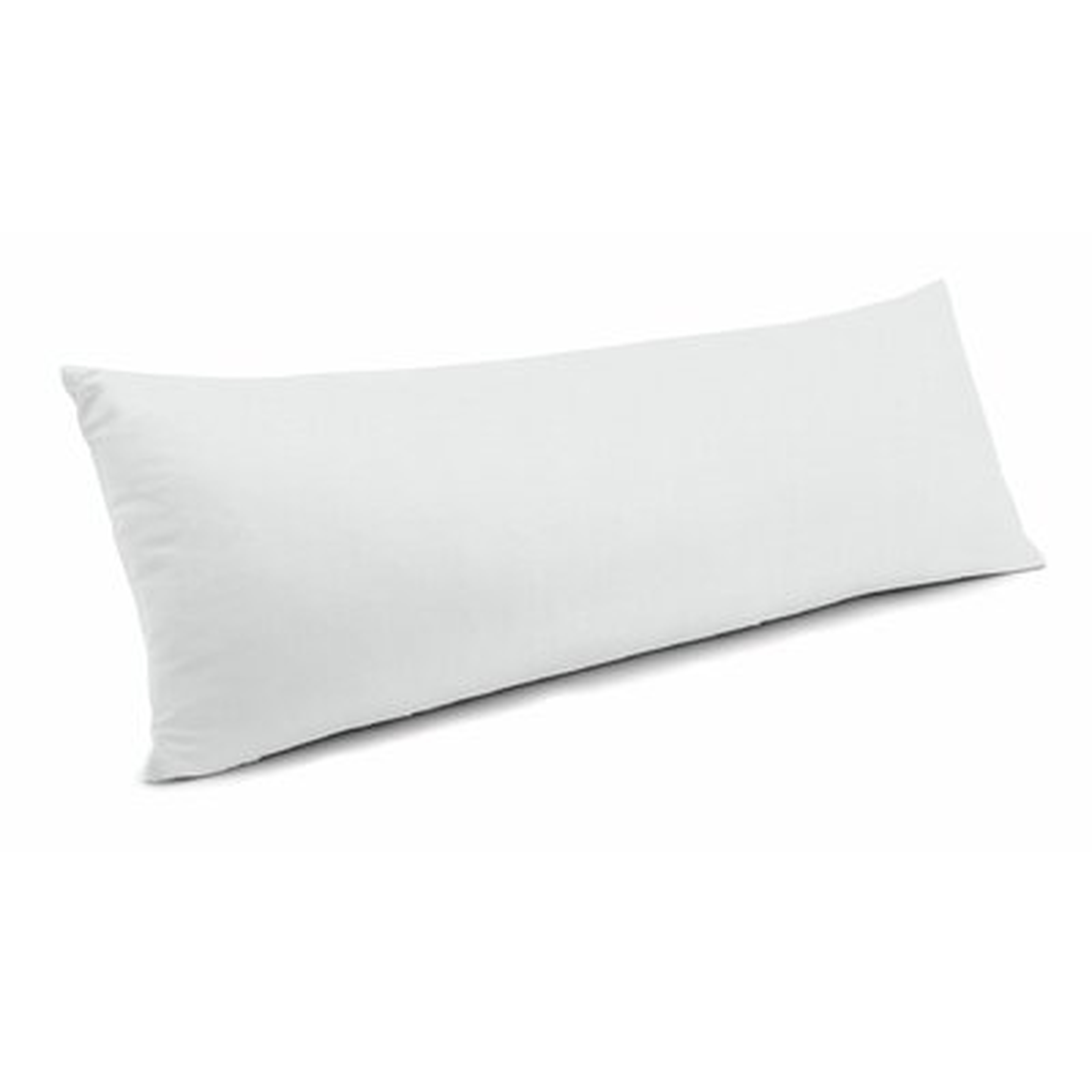Rectangular Pillow Cover & Insert - Wayfair
