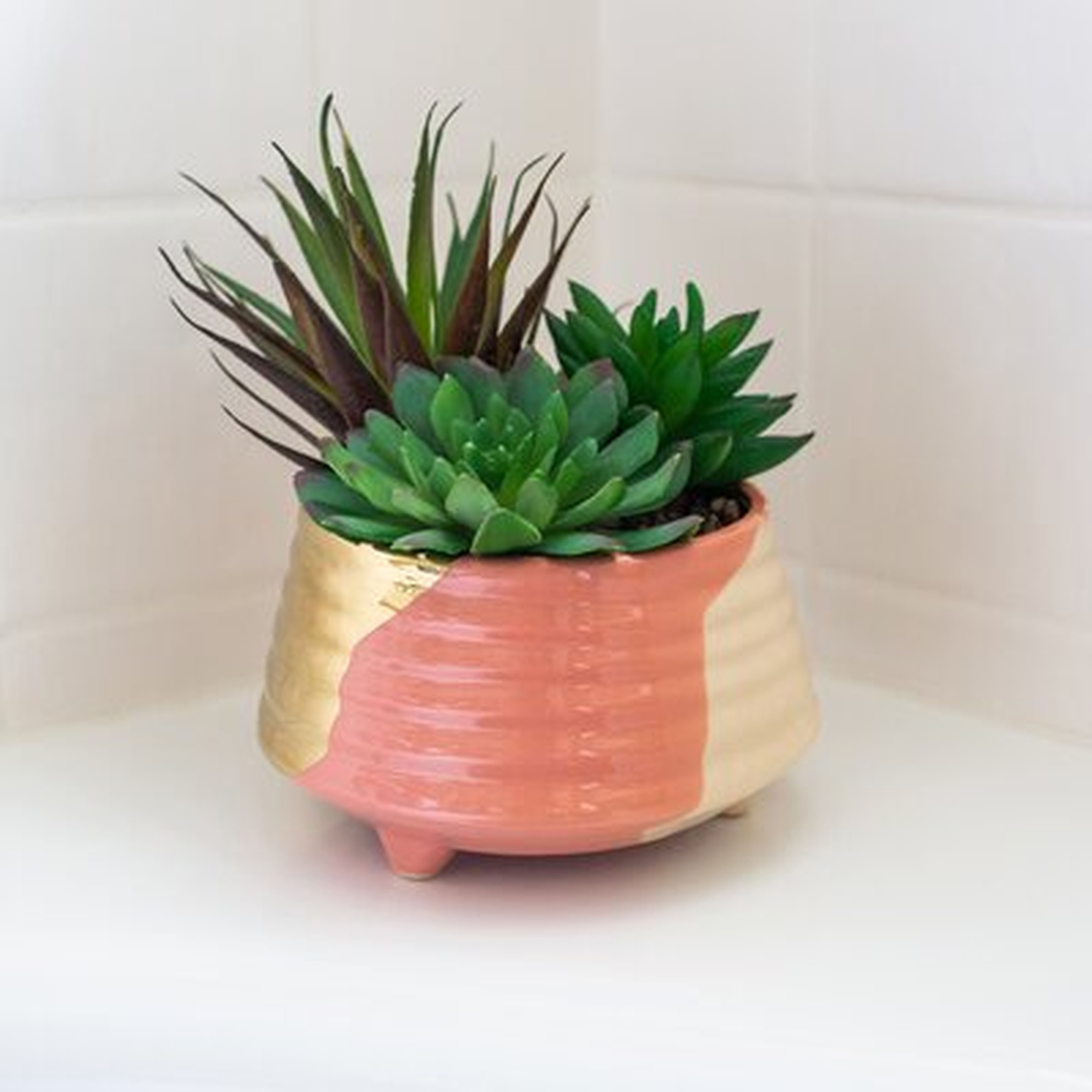 Garden Tone Footed Ceramic Cactus/Agave Succulent in Pot - Wayfair