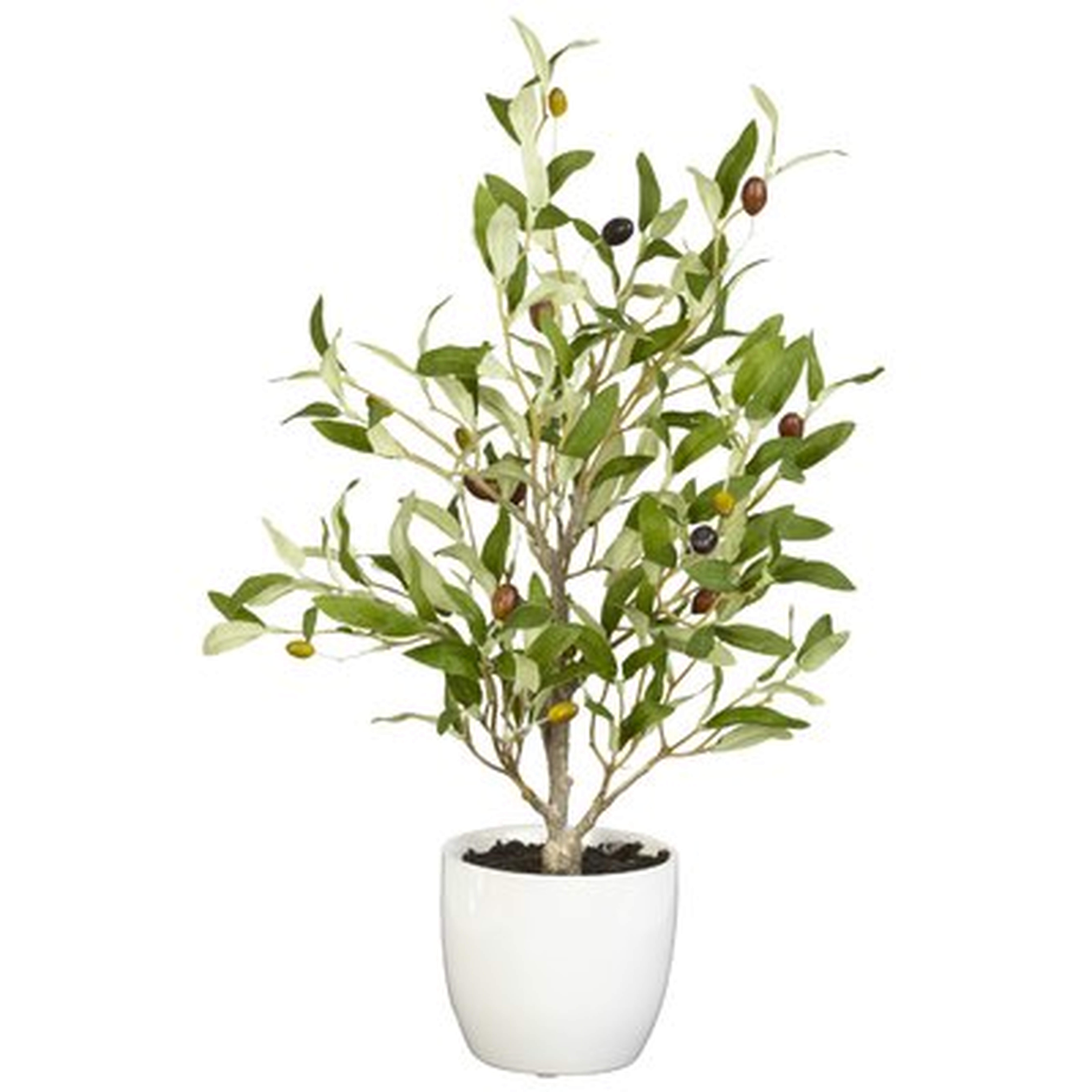 Olive Silk Desk Top Plant in Pot - AllModern