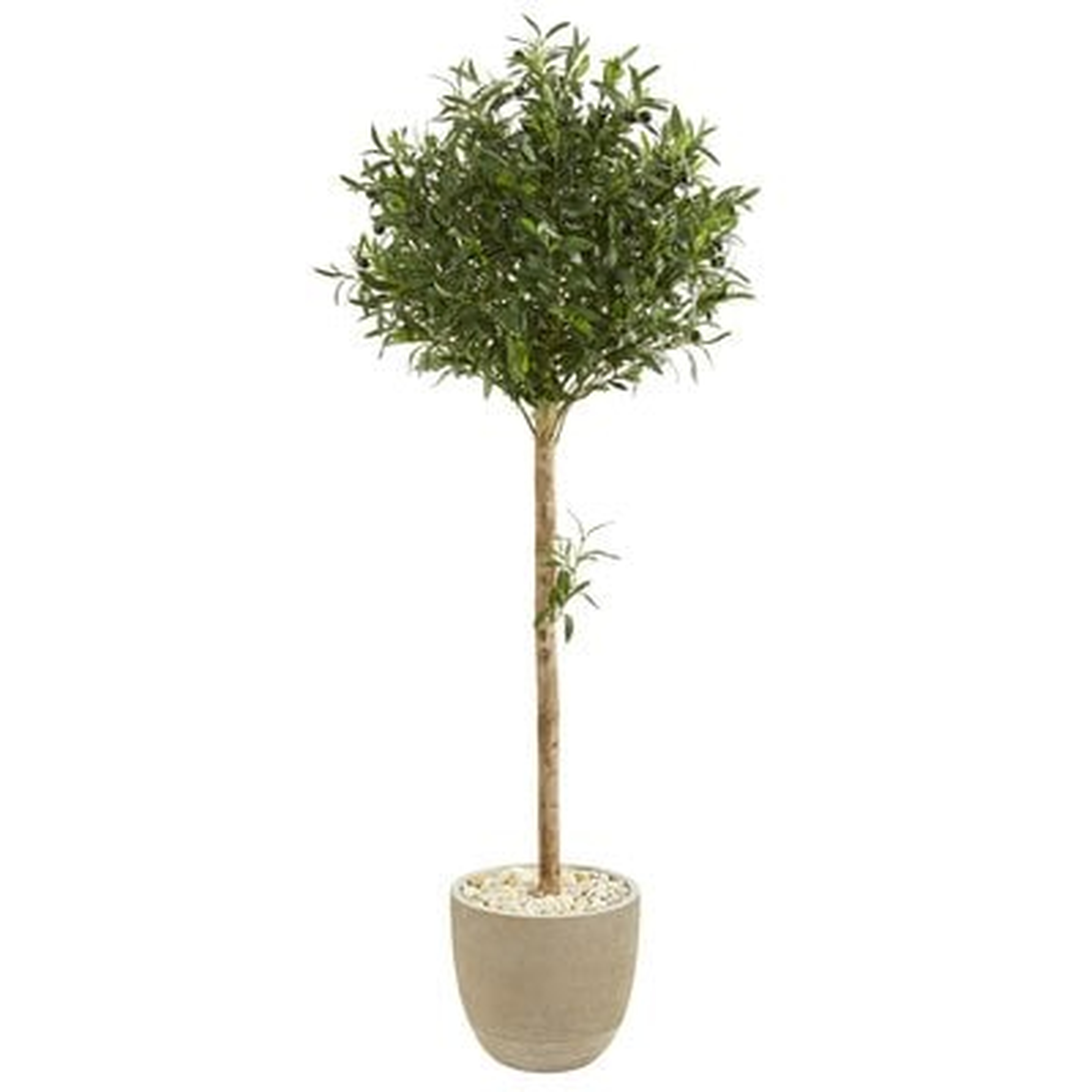 60'' Faux Olive Tree in Earthenware Planter - Wayfair