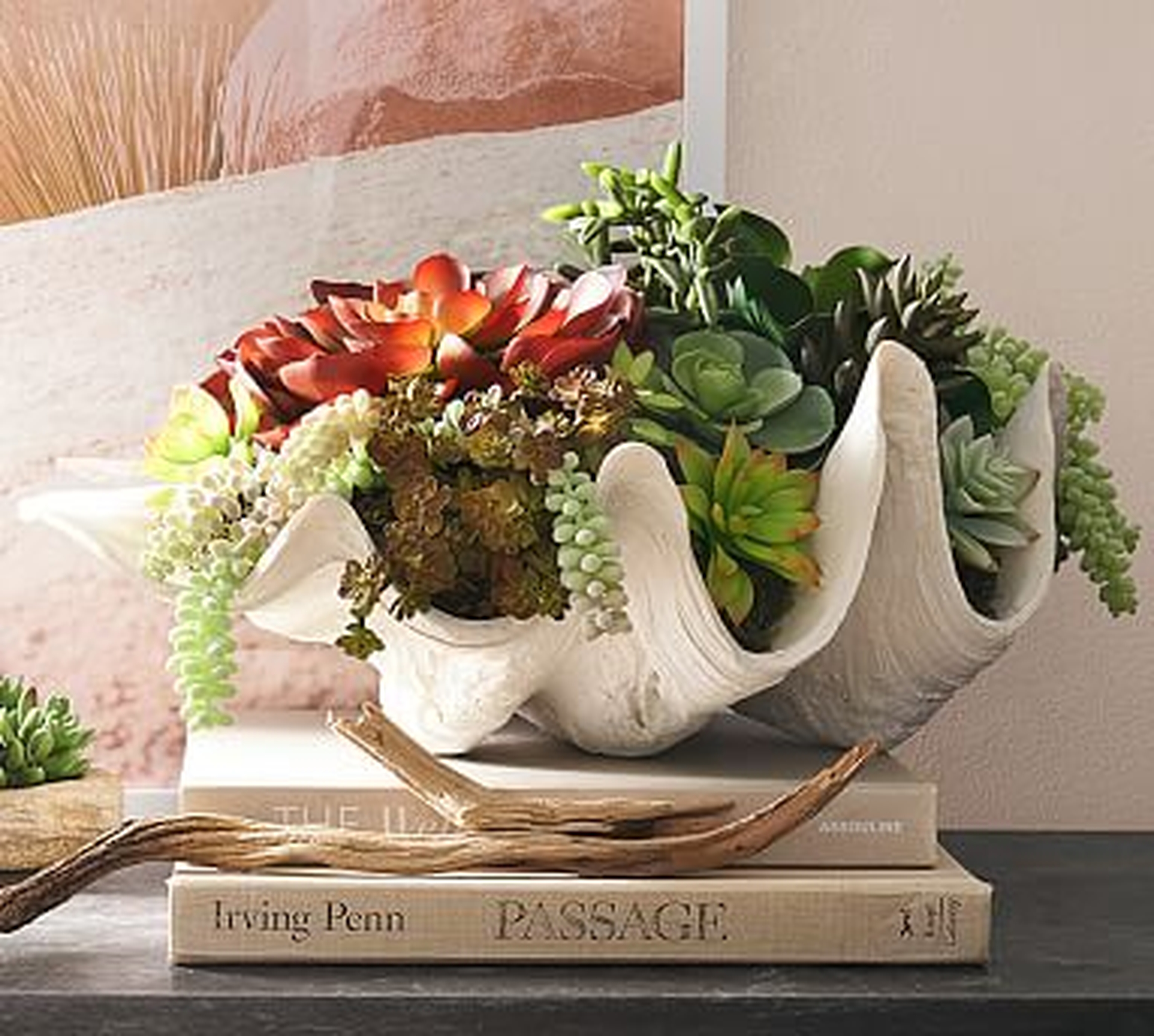 Faux Clam Succulent, Large - Pottery Barn