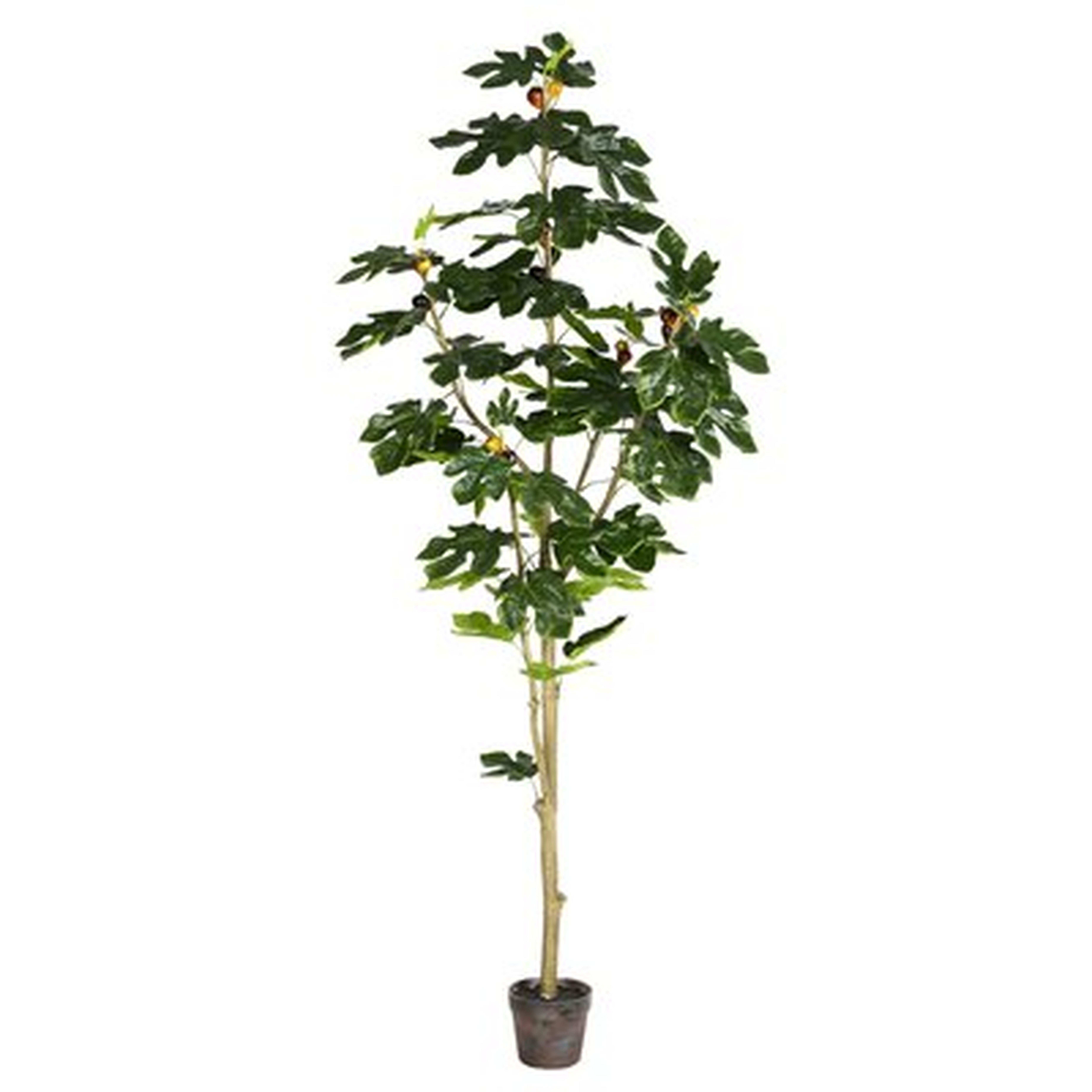 Artificial Potted Fig Floor Foliage Tree in Pot - Wayfair