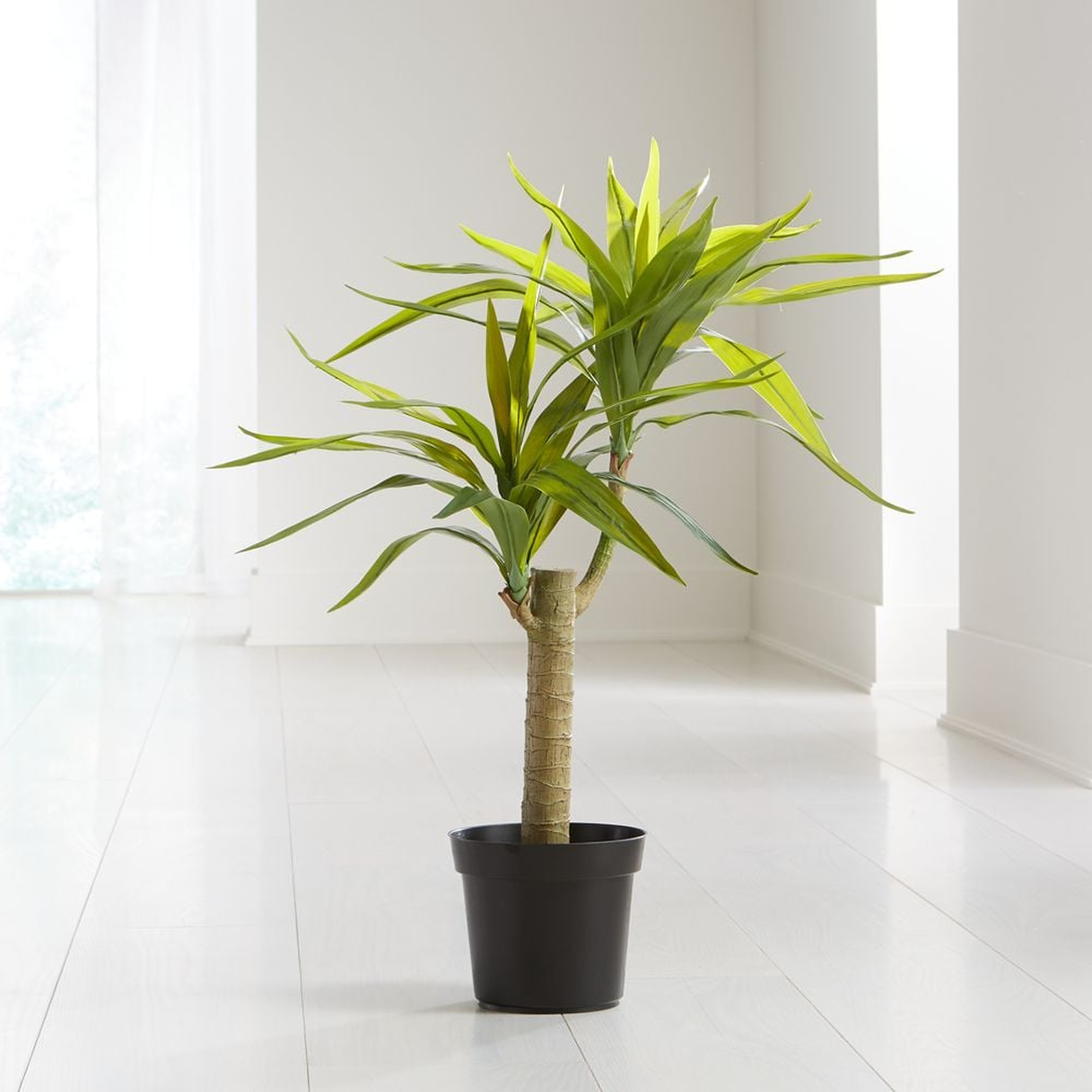Potted Artificial Yucca - Crate and Barrel