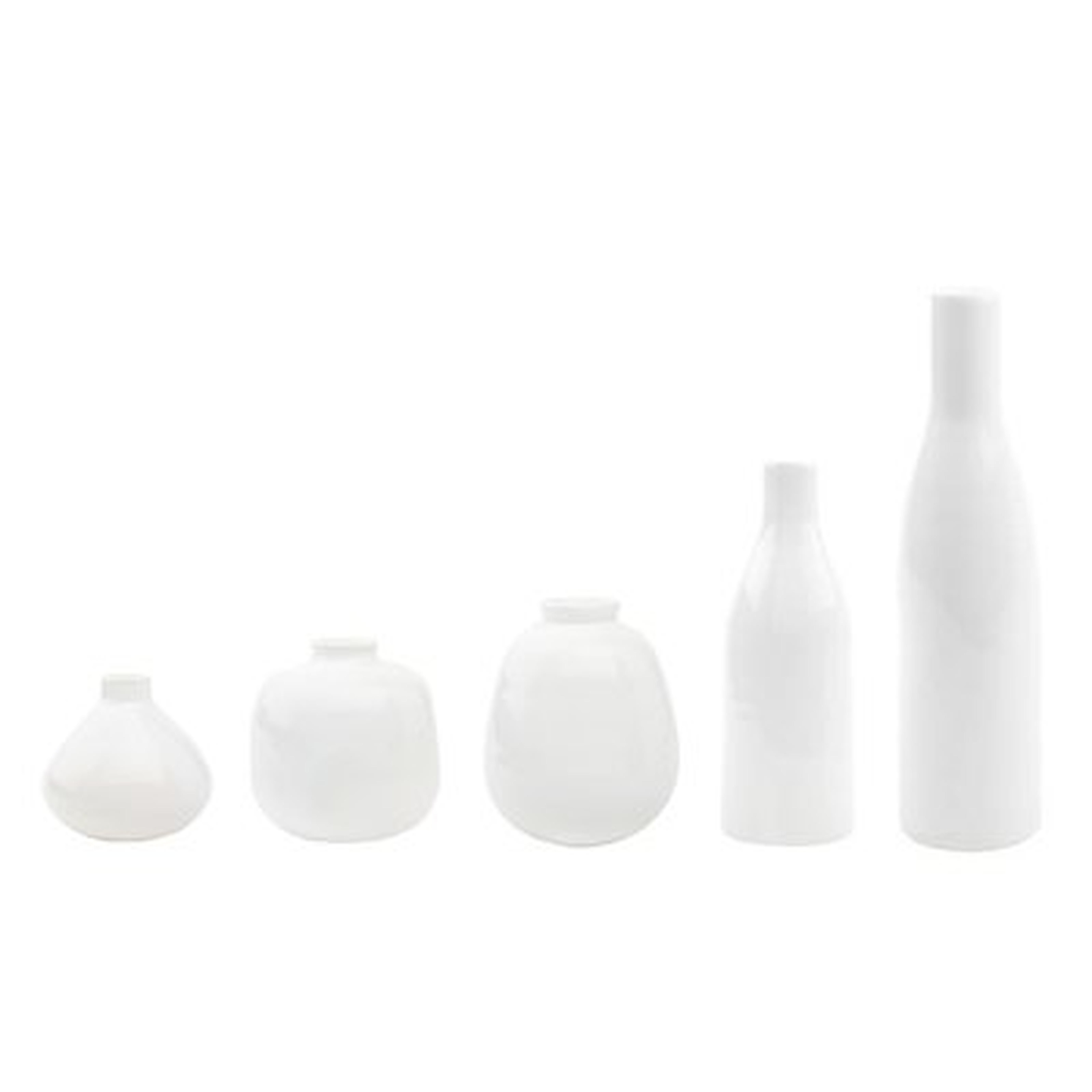 Morandi 5 Piece Table Vase Set - AllModern