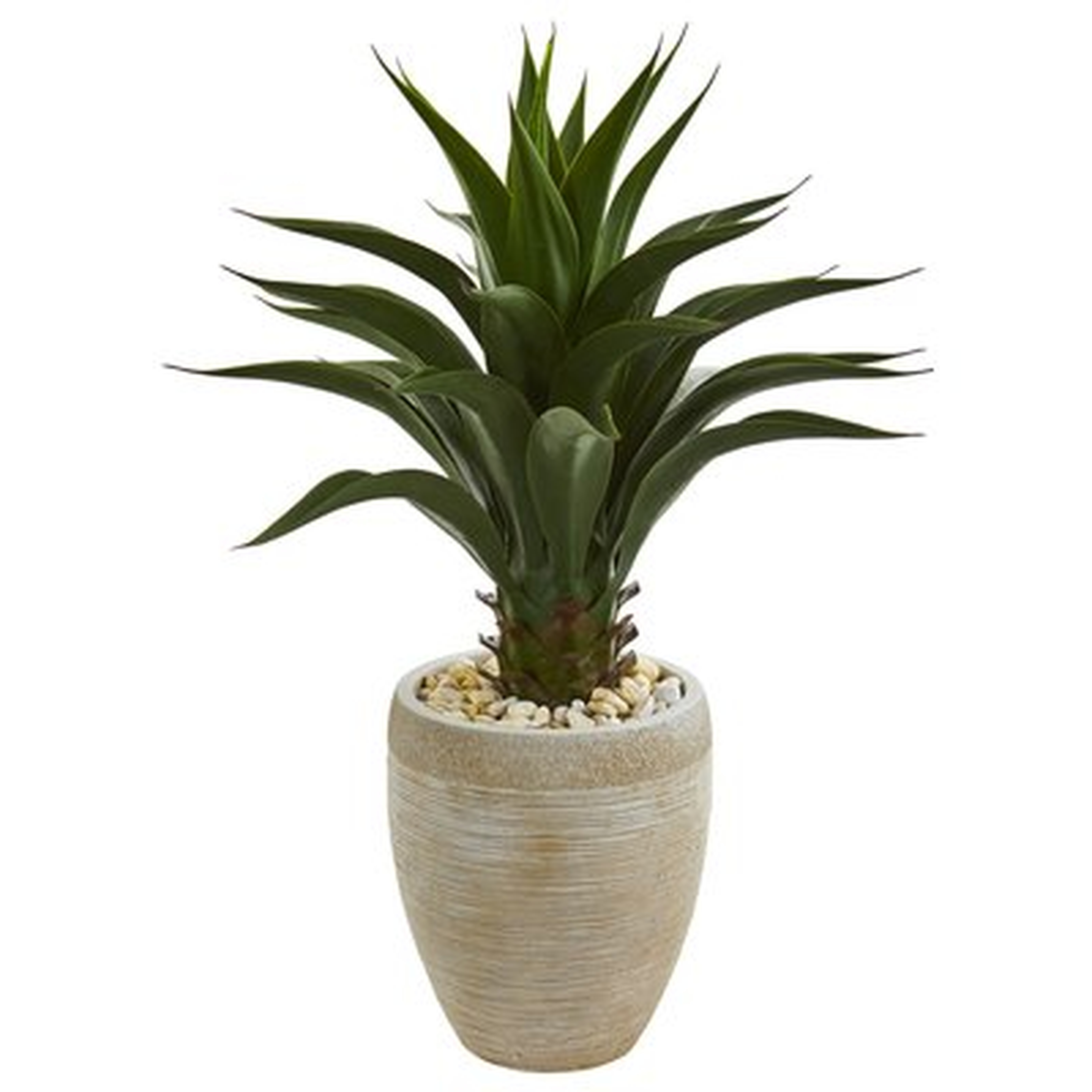 Agave Floor Foliage Plant in Planter - Wayfair