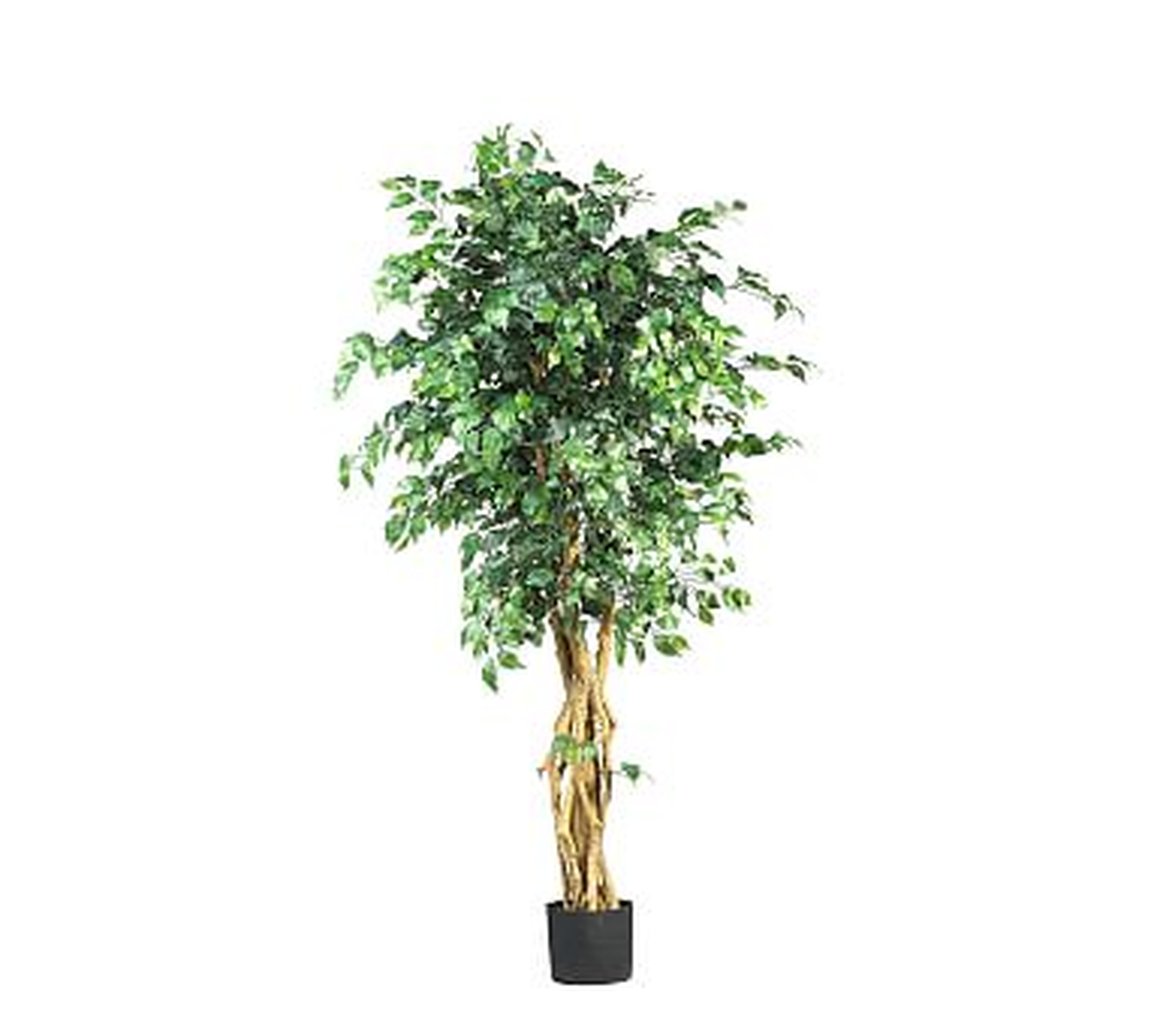 Faux Potted Palace Style Ficus Tree, 5' - Pottery Barn