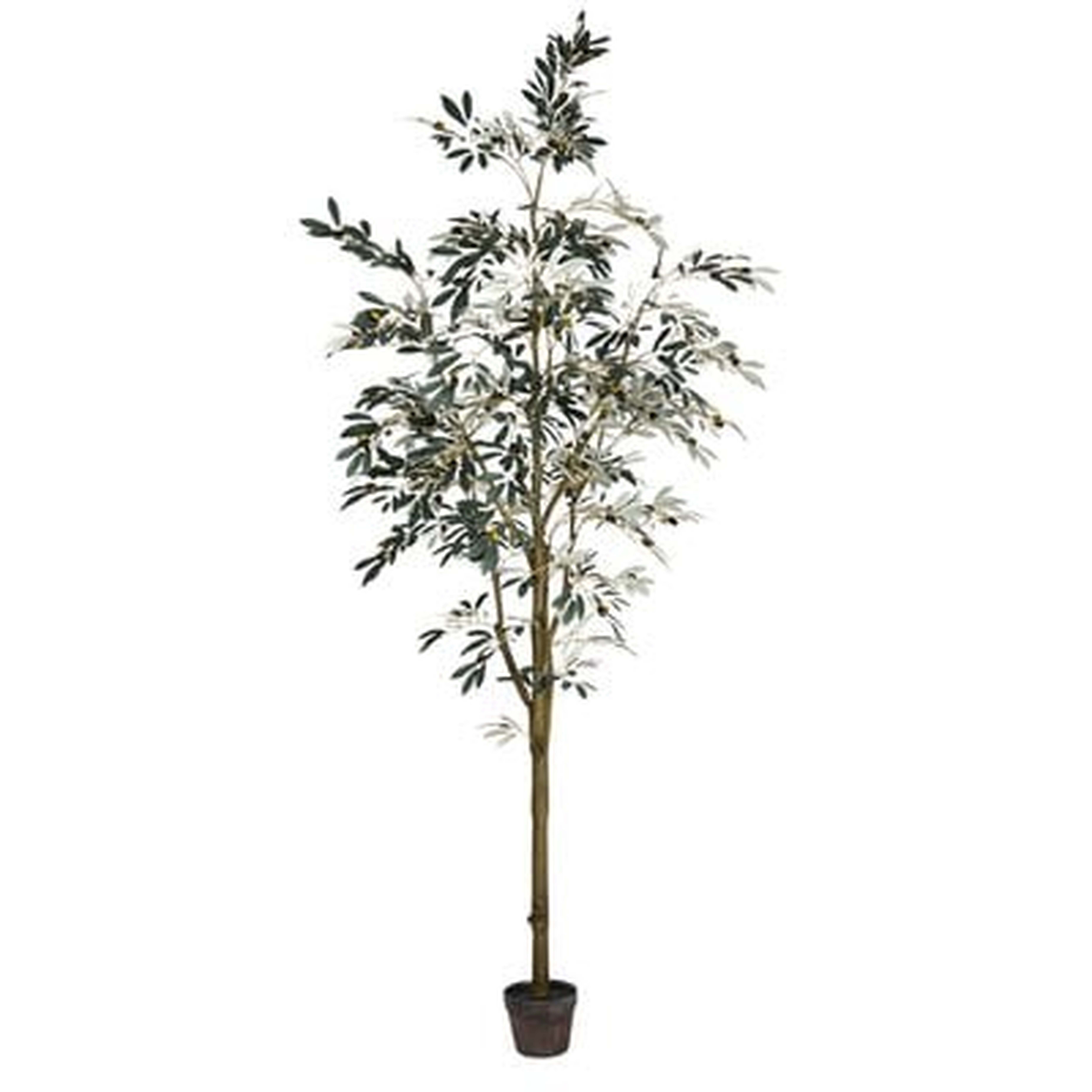 Artificial Potted Olive Floor Foliage Tree in Pot - Wayfair