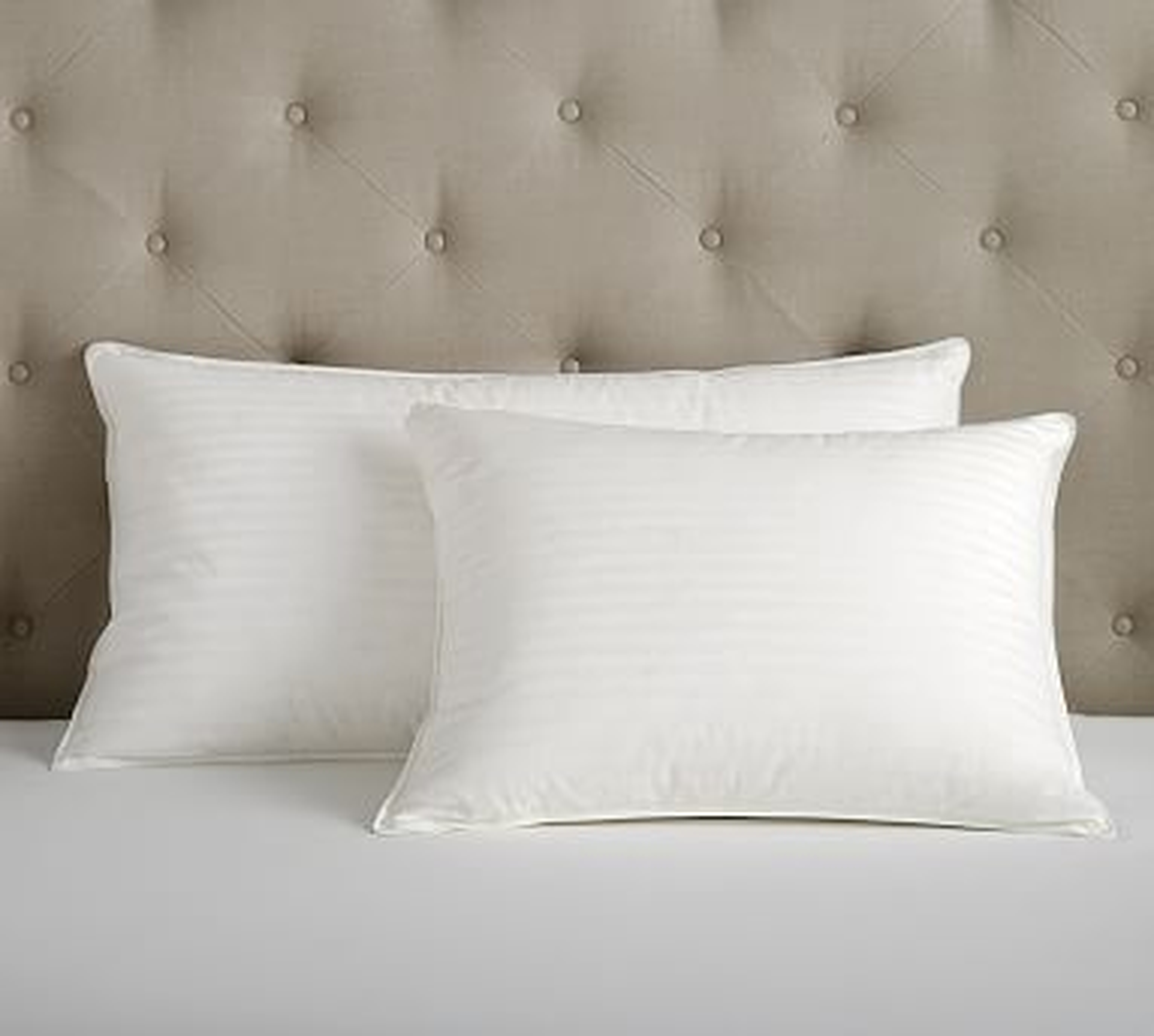 Classic Feather-Down Pillow, King, Medium - Pottery Barn