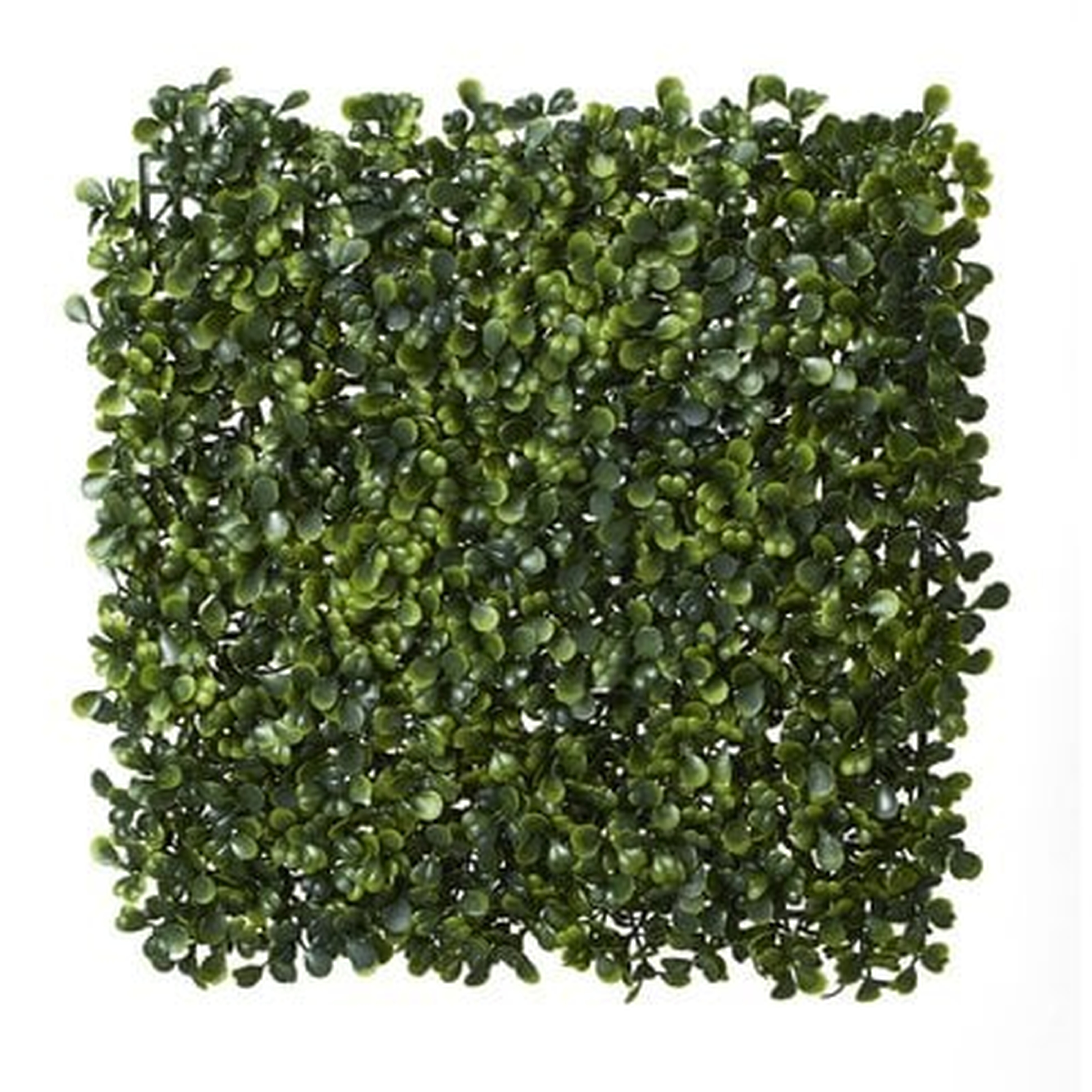 Artificial Boxwood Grass tiles (Set of 24) - Wayfair