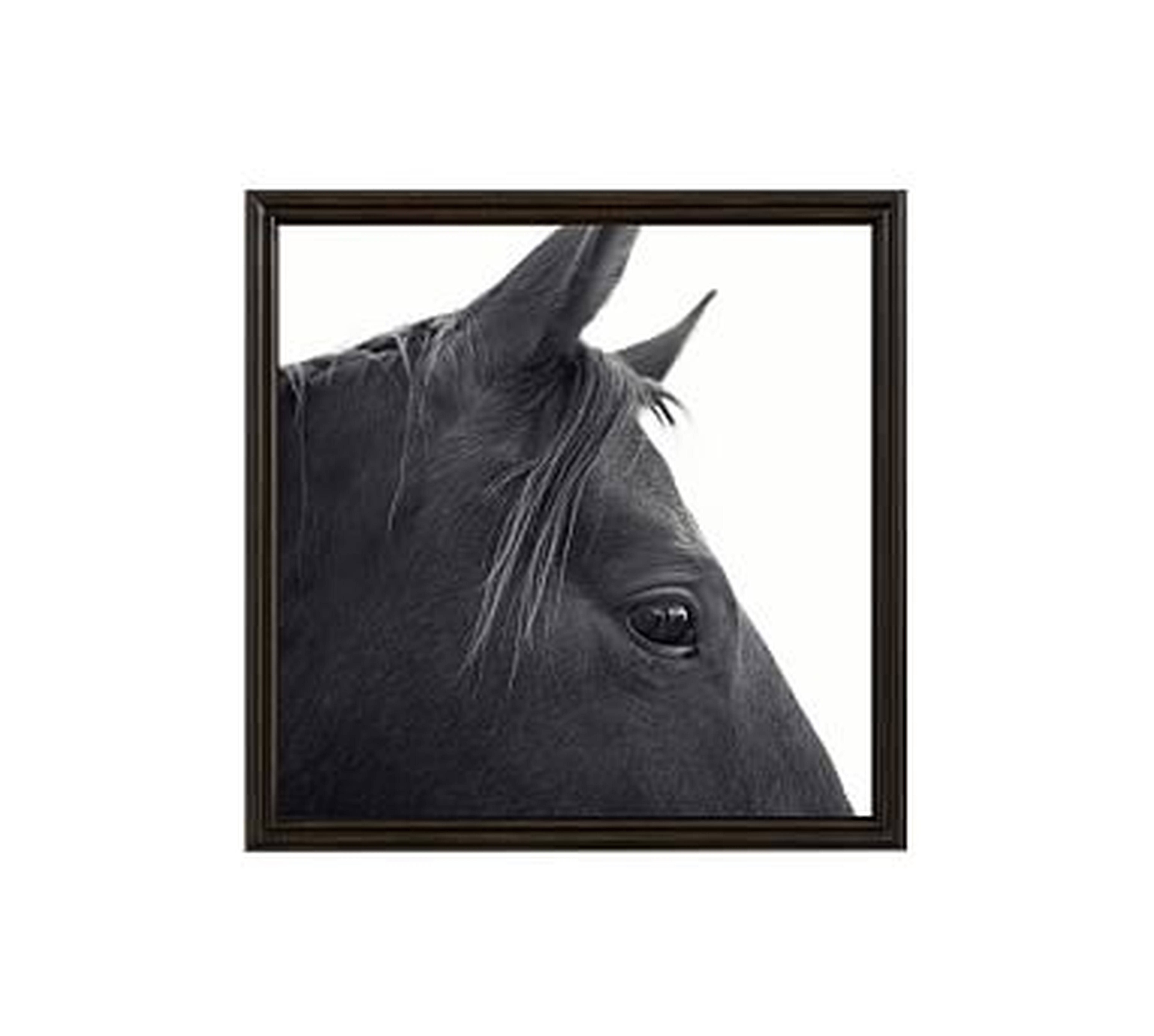 Dark Horse in Profile Framed Print by Jennifer Meyers, 25 x 25", Ridged Distressed Frame, Black, No Mat - Pottery Barn