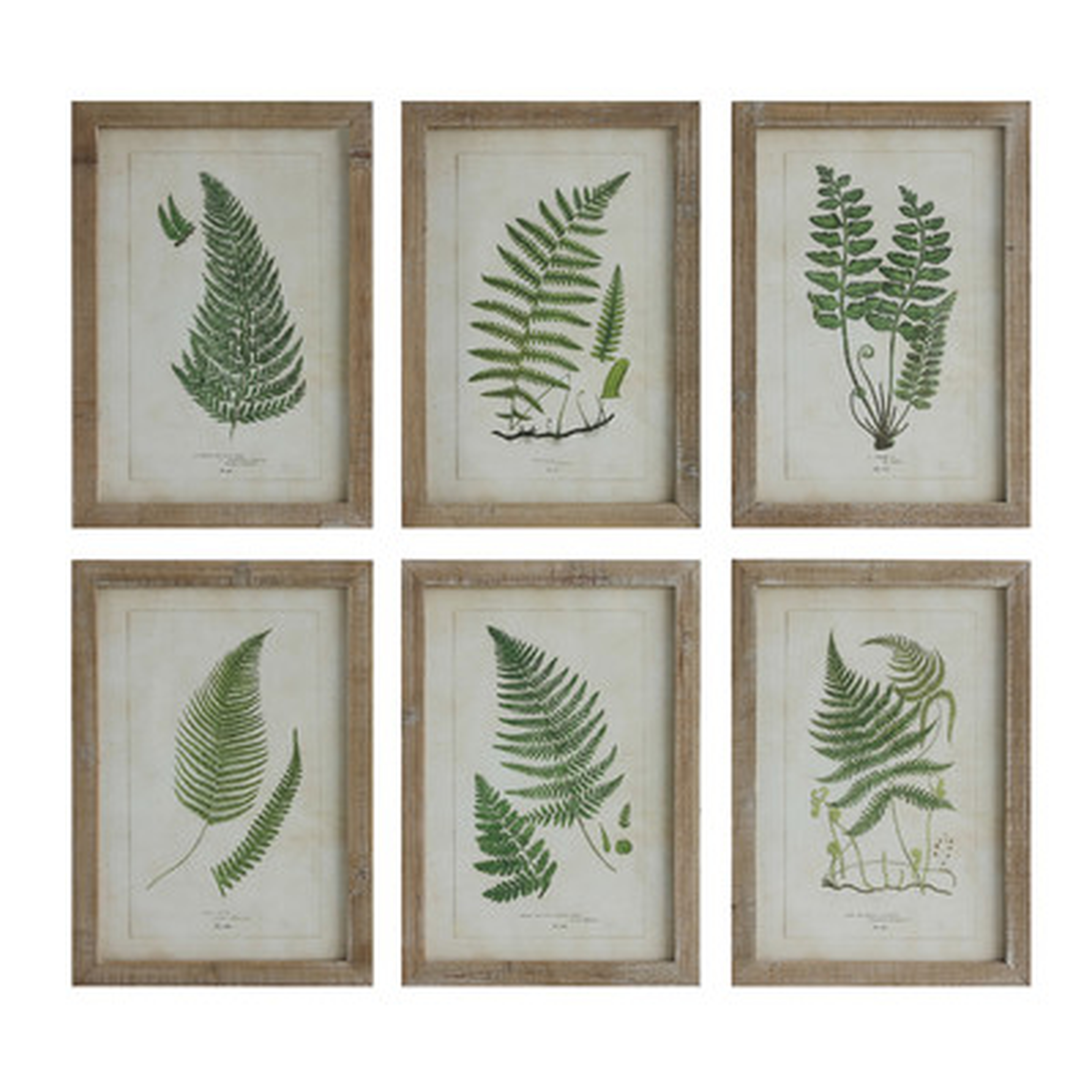 Redvers Wood Framed Wall Decor with Fern Fronds - 6 Piece Picture Frame Print Set on Wood - Birch Lane