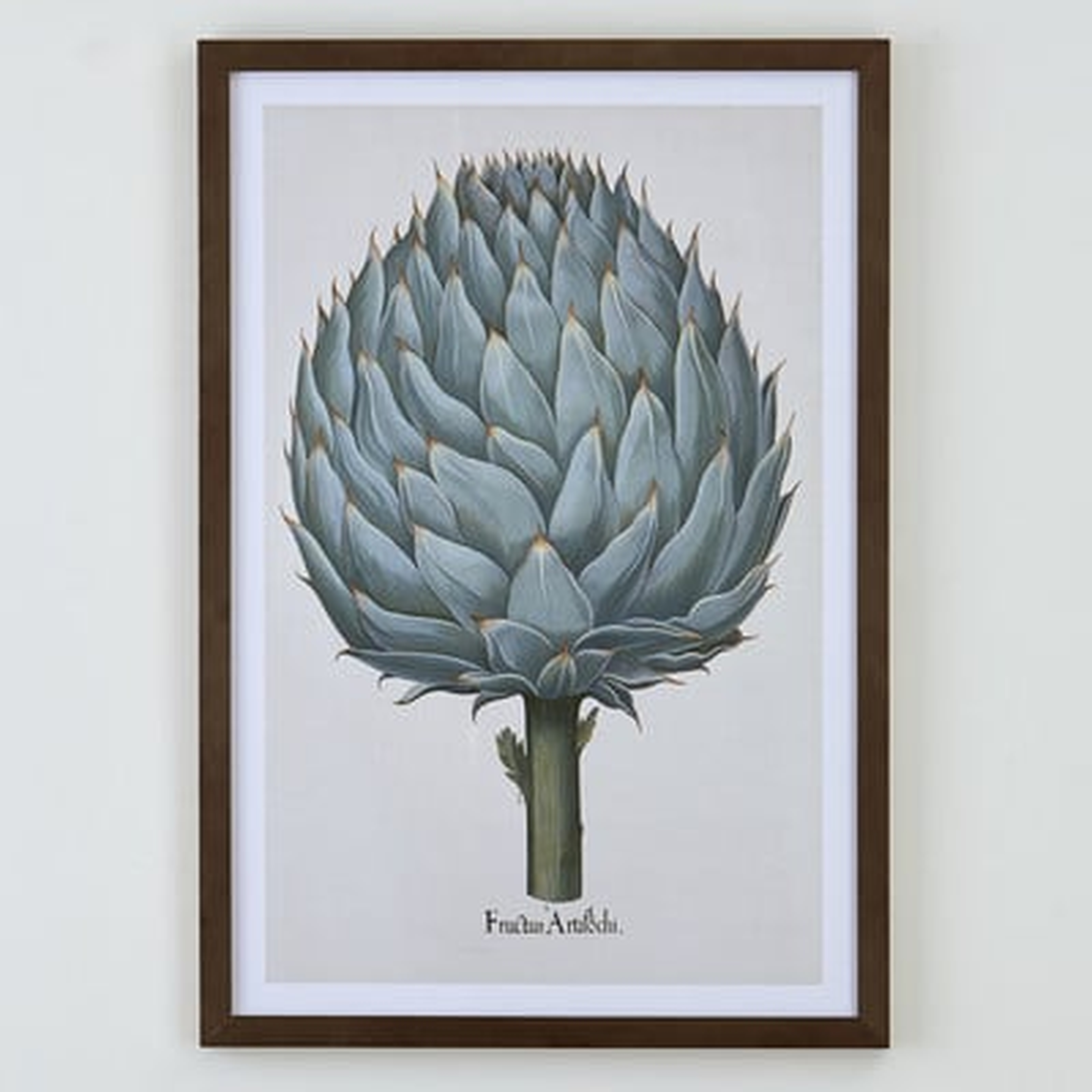 Artichoke Wall Art - Wayfair