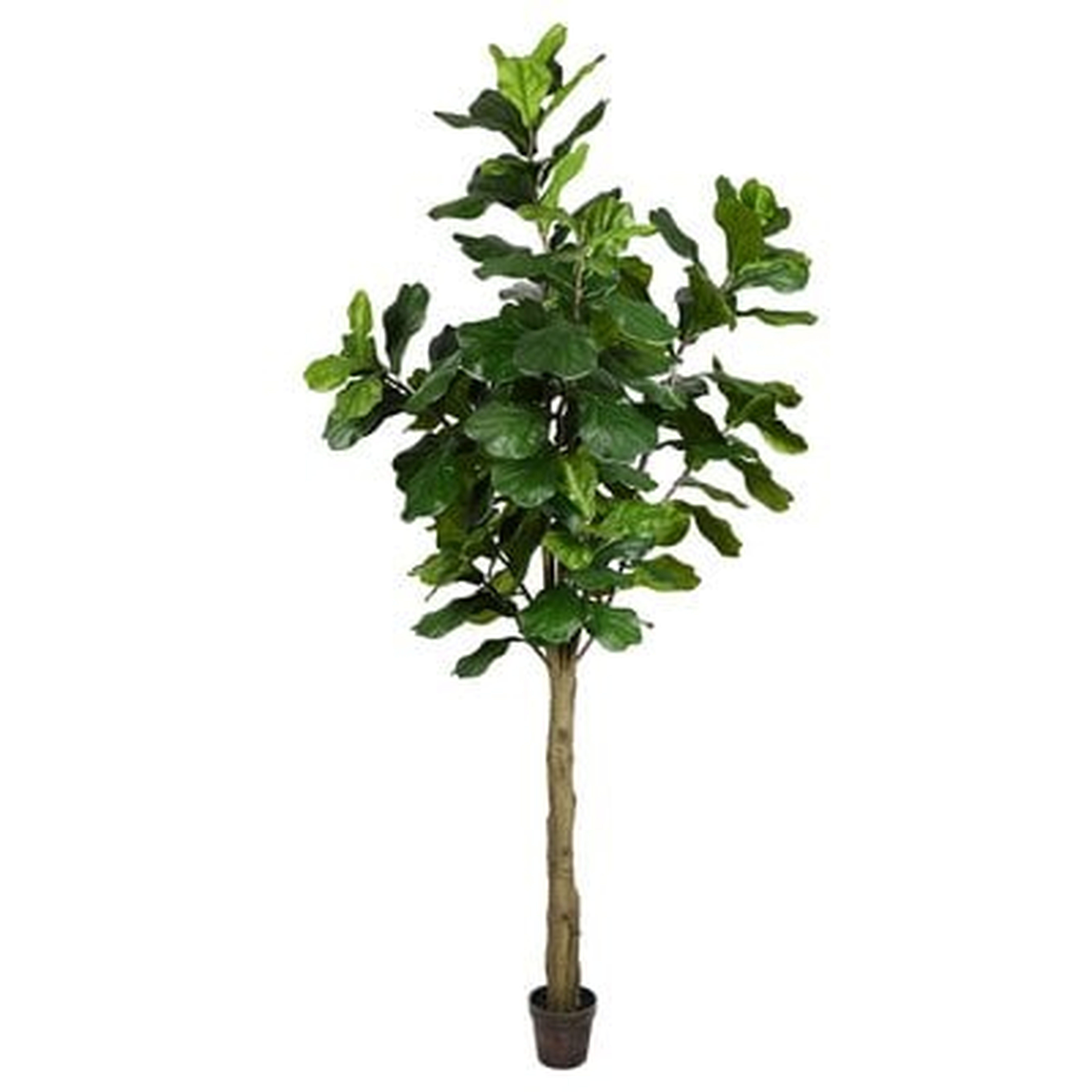 Artificial Fiddle leaf Fig Tree in Pot, 96" - Wayfair