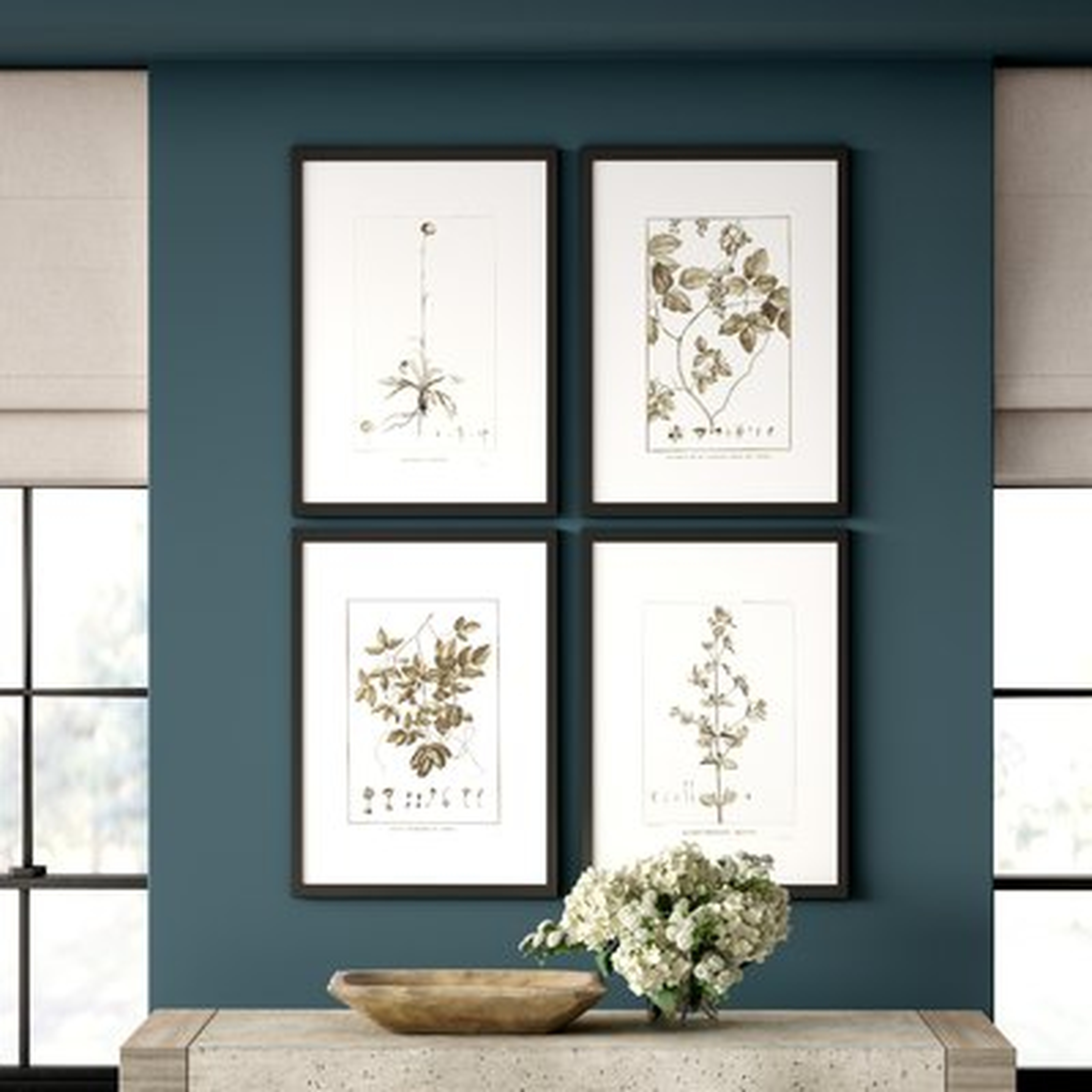 'Sepia Tone Botanical' Framed Graphic Art Print in White Gray - Wayfair