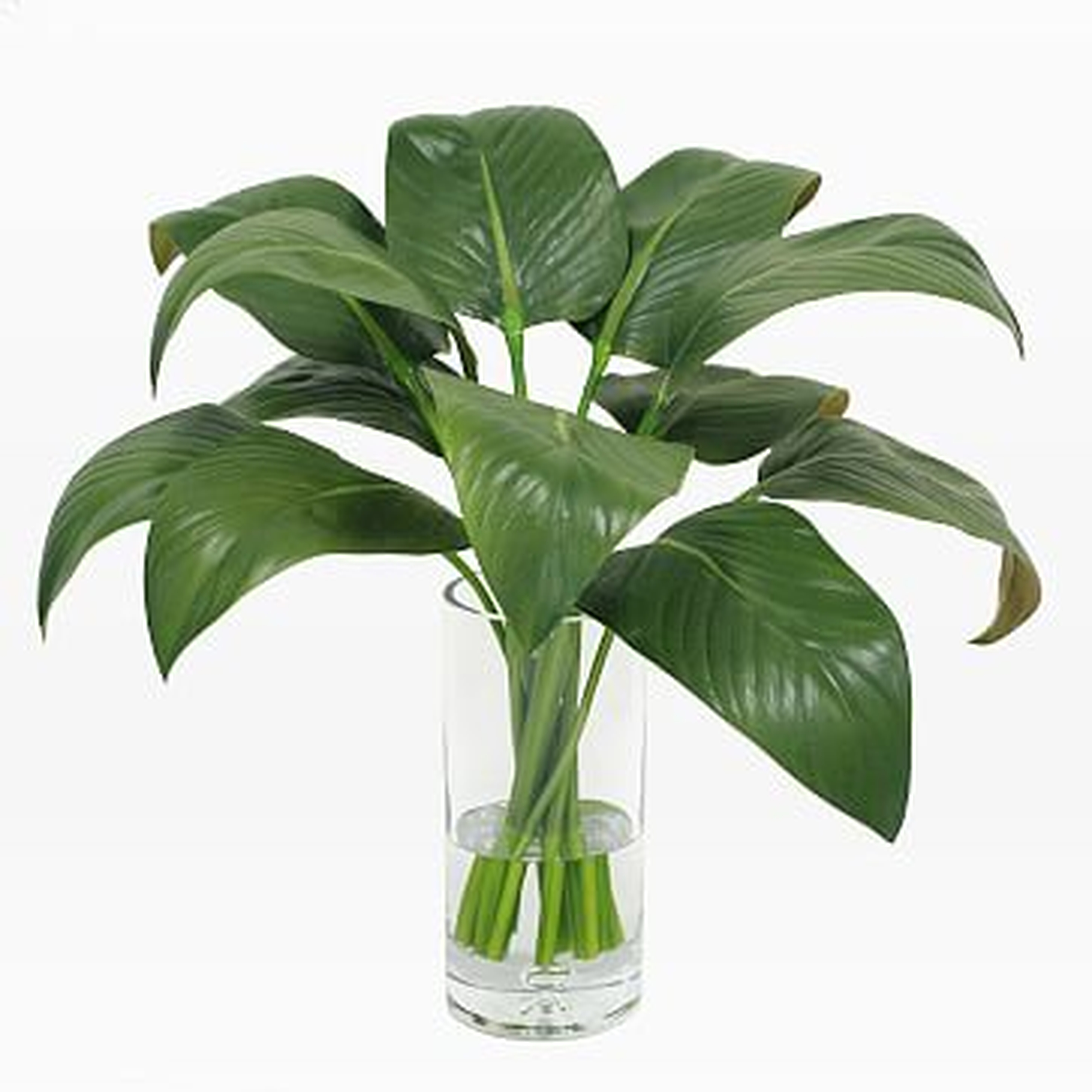 Faux Calla Leaf in Vase, 24"D x 20"H, Green - West Elm