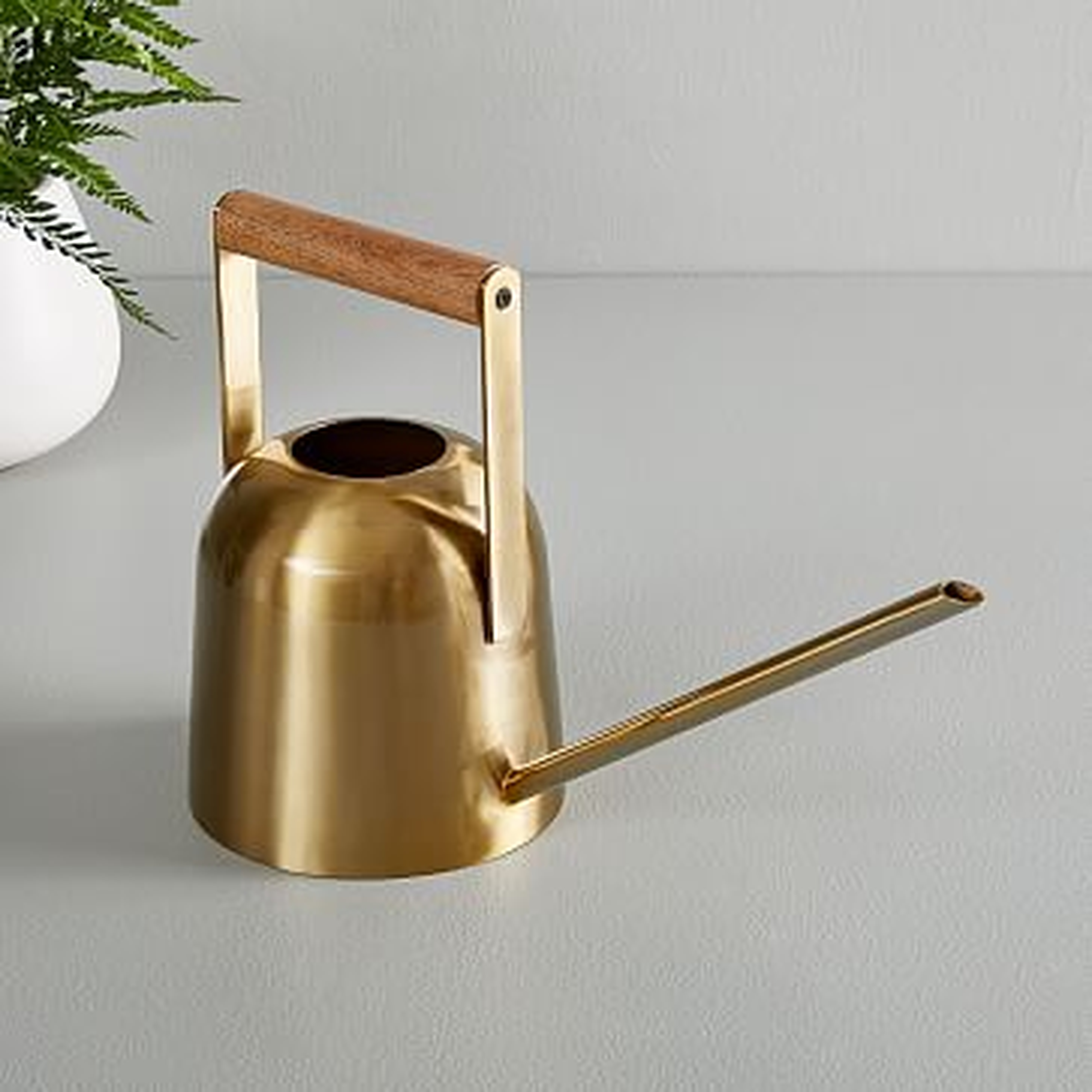 The Sill Watering Can, Brass - West Elm
