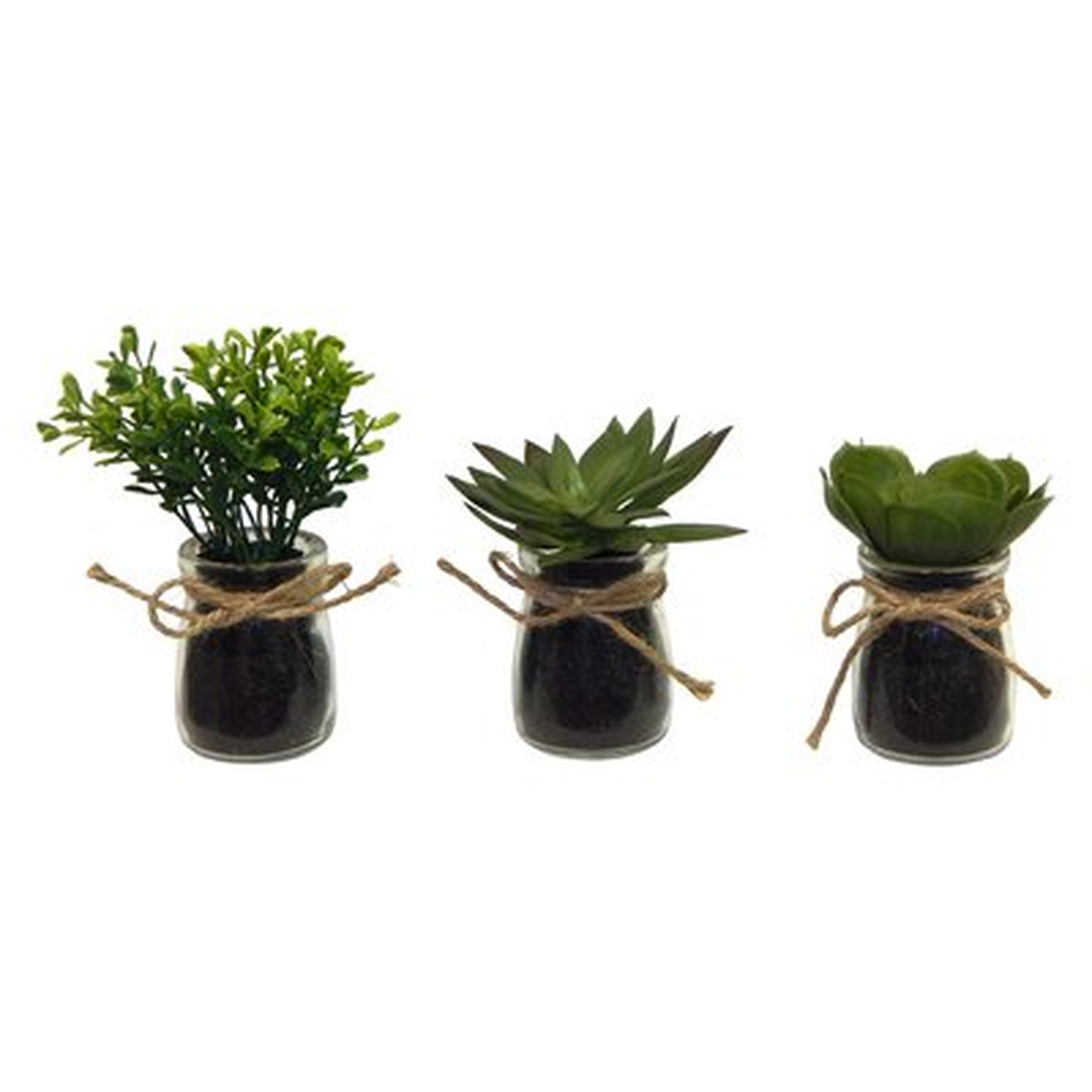 3 Piece Faux Succulent Plant in Jar Set - Wayfair