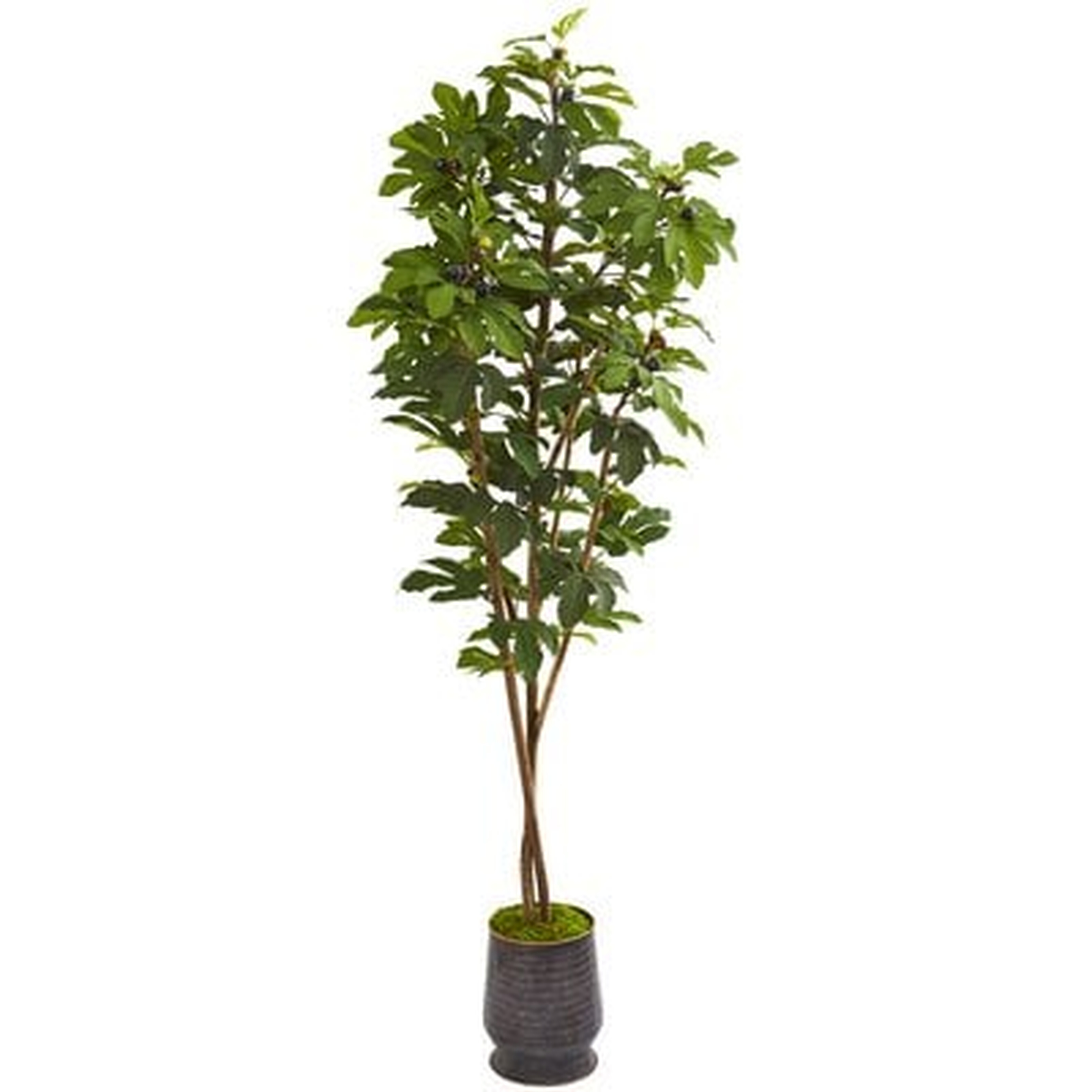 Artificial Fig Tree in Planter - Wayfair