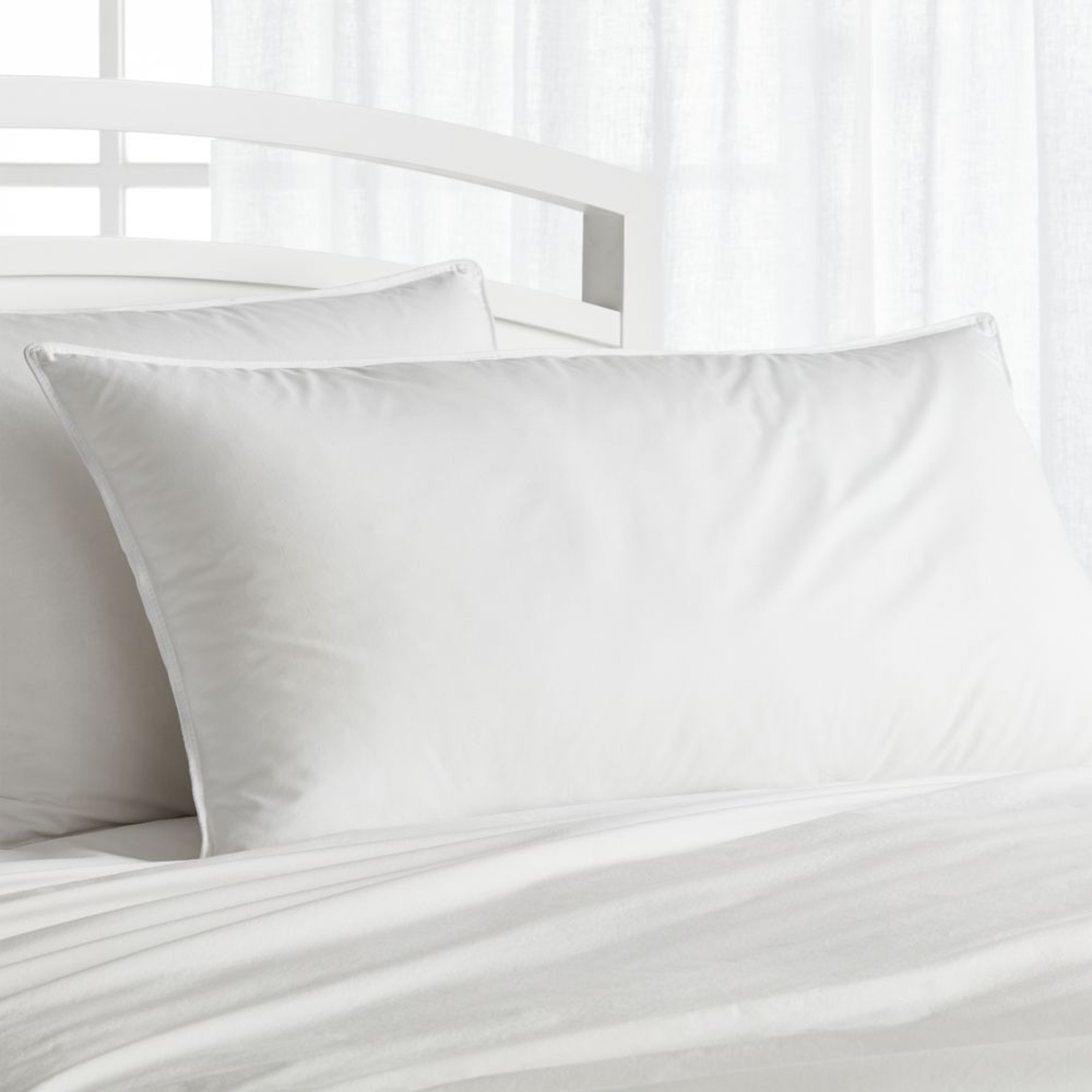 Hypoallergenic Firm King Pillow - Crate and Barrel
