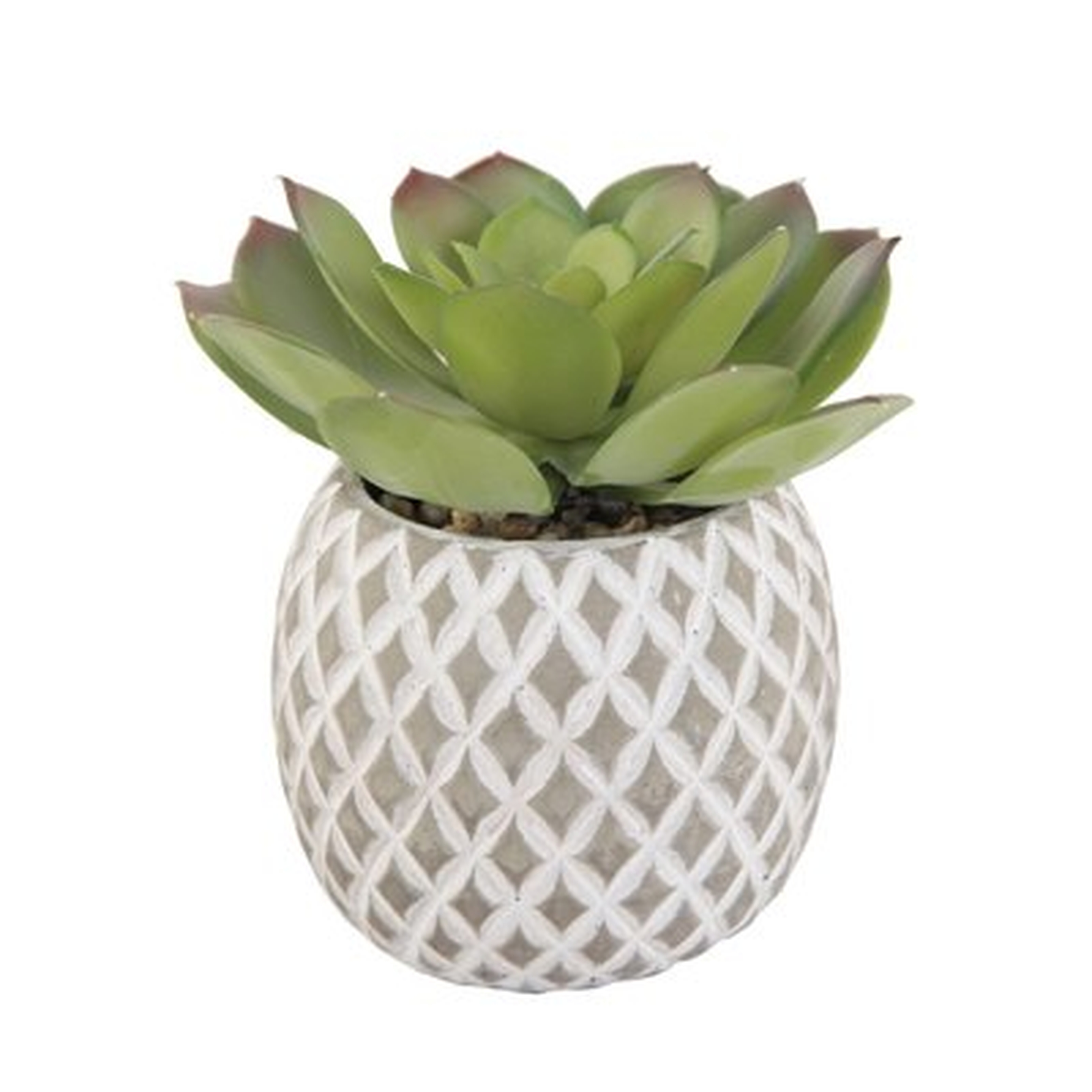 Faux Cement Pineapple Agave Plant in Planter - Wayfair