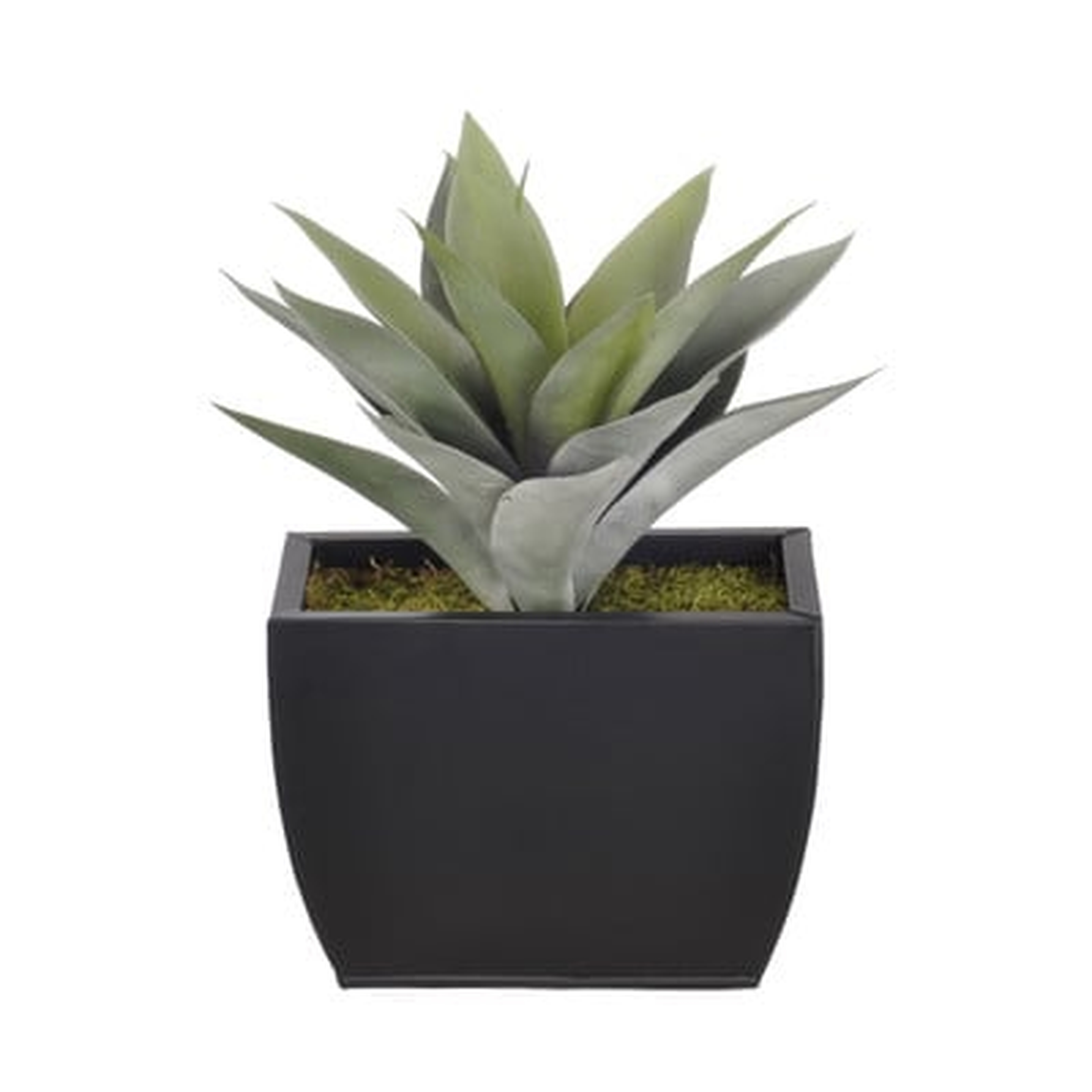 Artificial Frosted Green Succulent Desk Top Plant in Decorative Vase - Wayfair