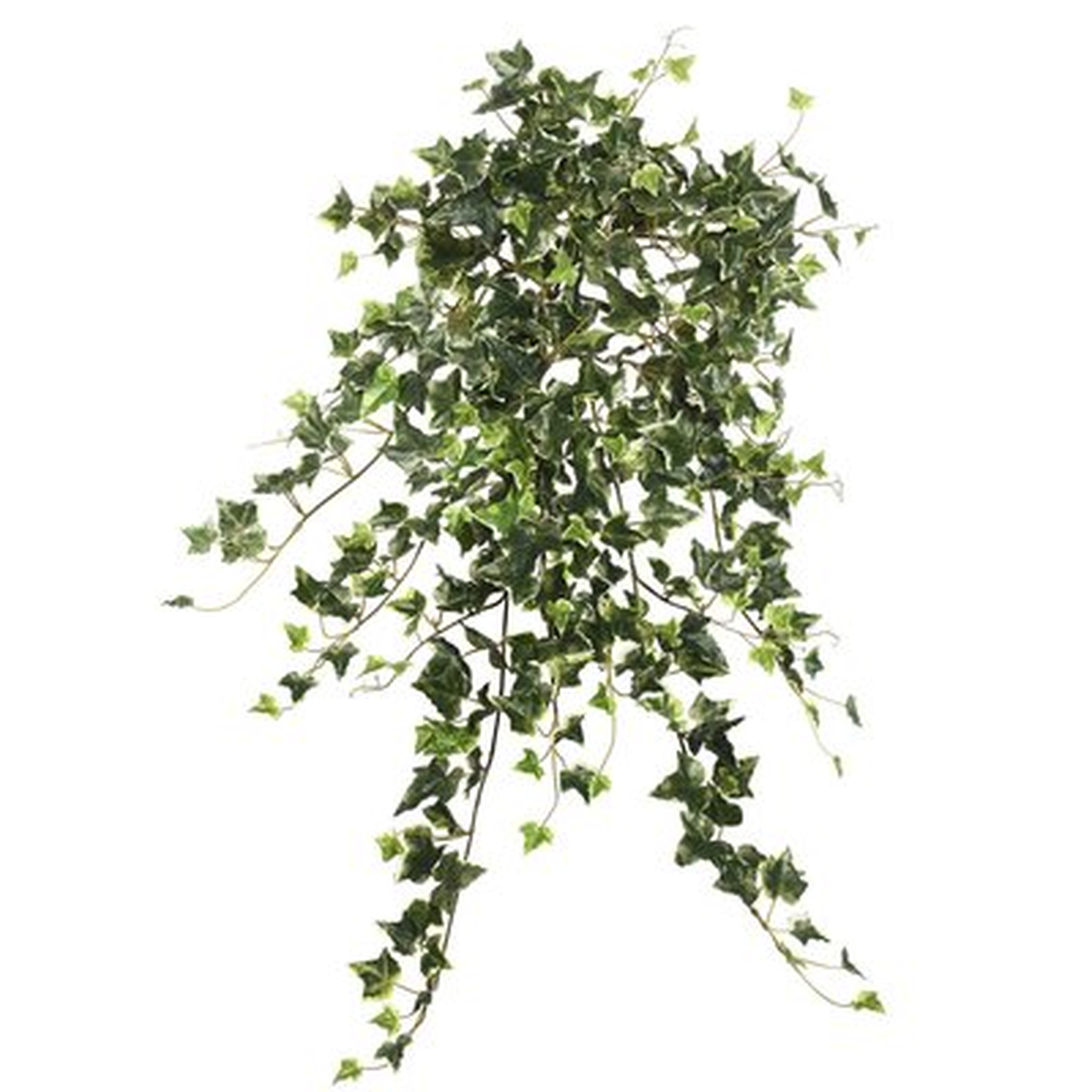 Artificial Variegated Mini Hanging Bush Ivy Plant - Wayfair
