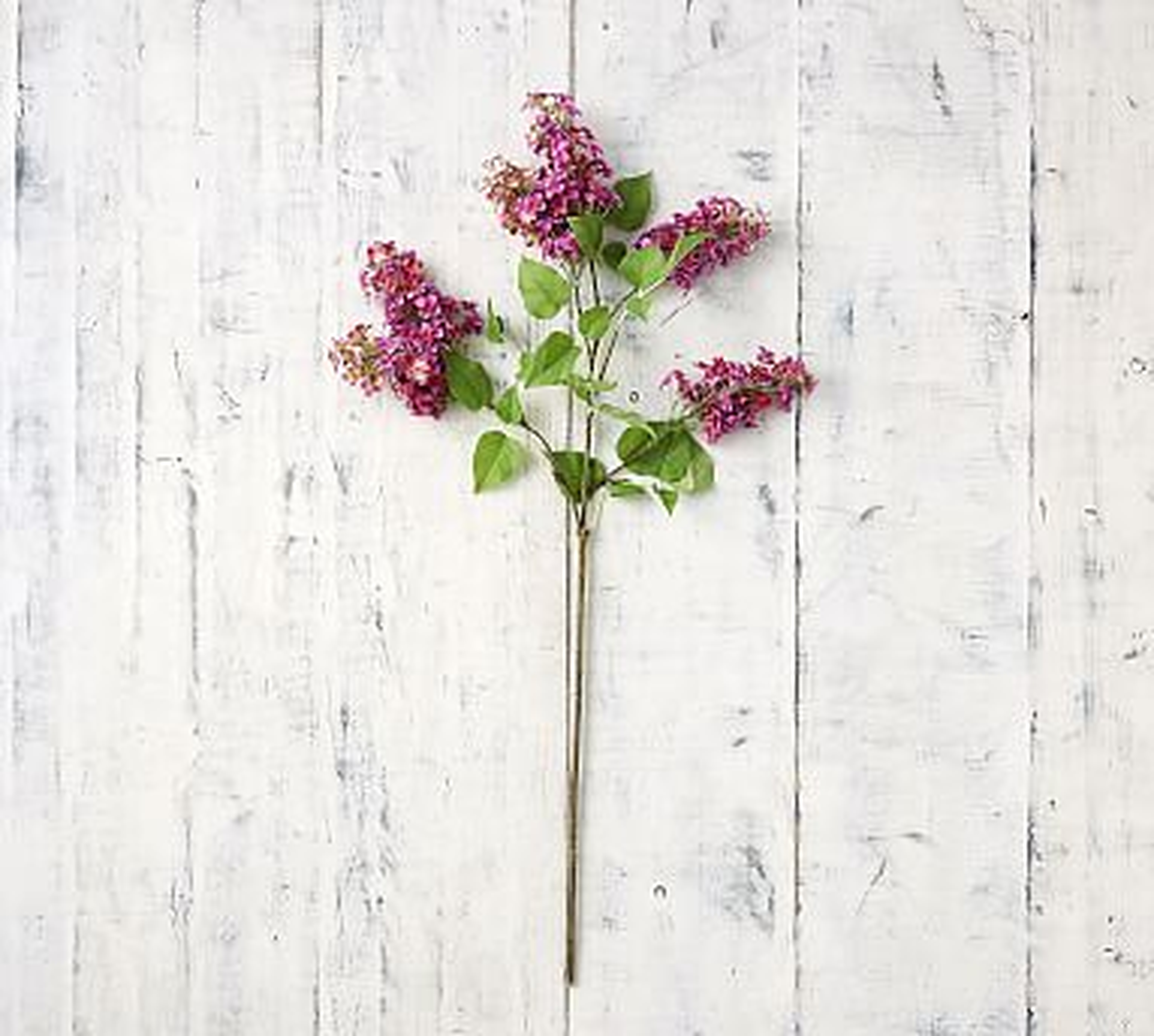 Faux Lilac Stem - Berry - Pottery Barn