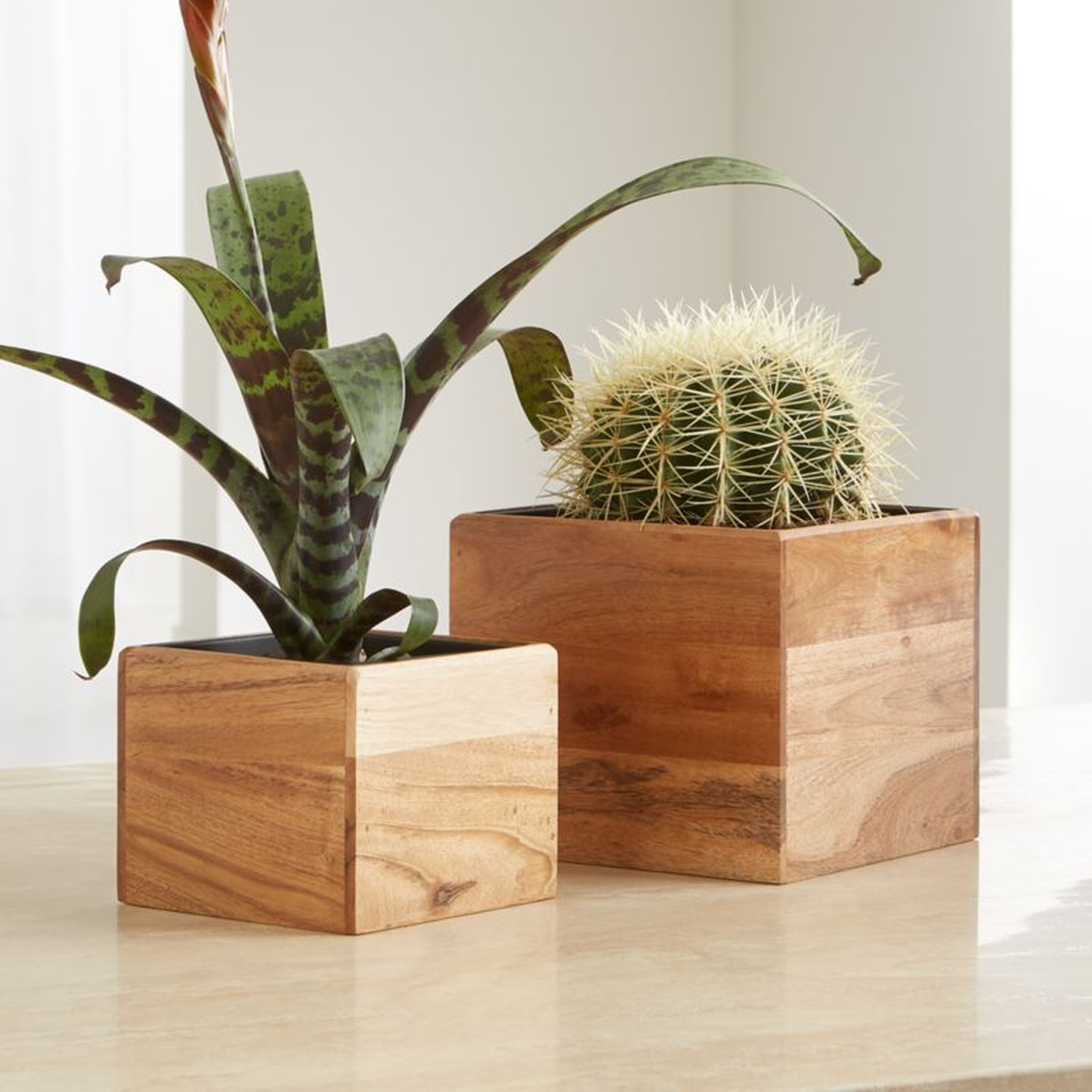 Arcaydia Small Tabletop Wood and Metal Planter - Crate and Barrel