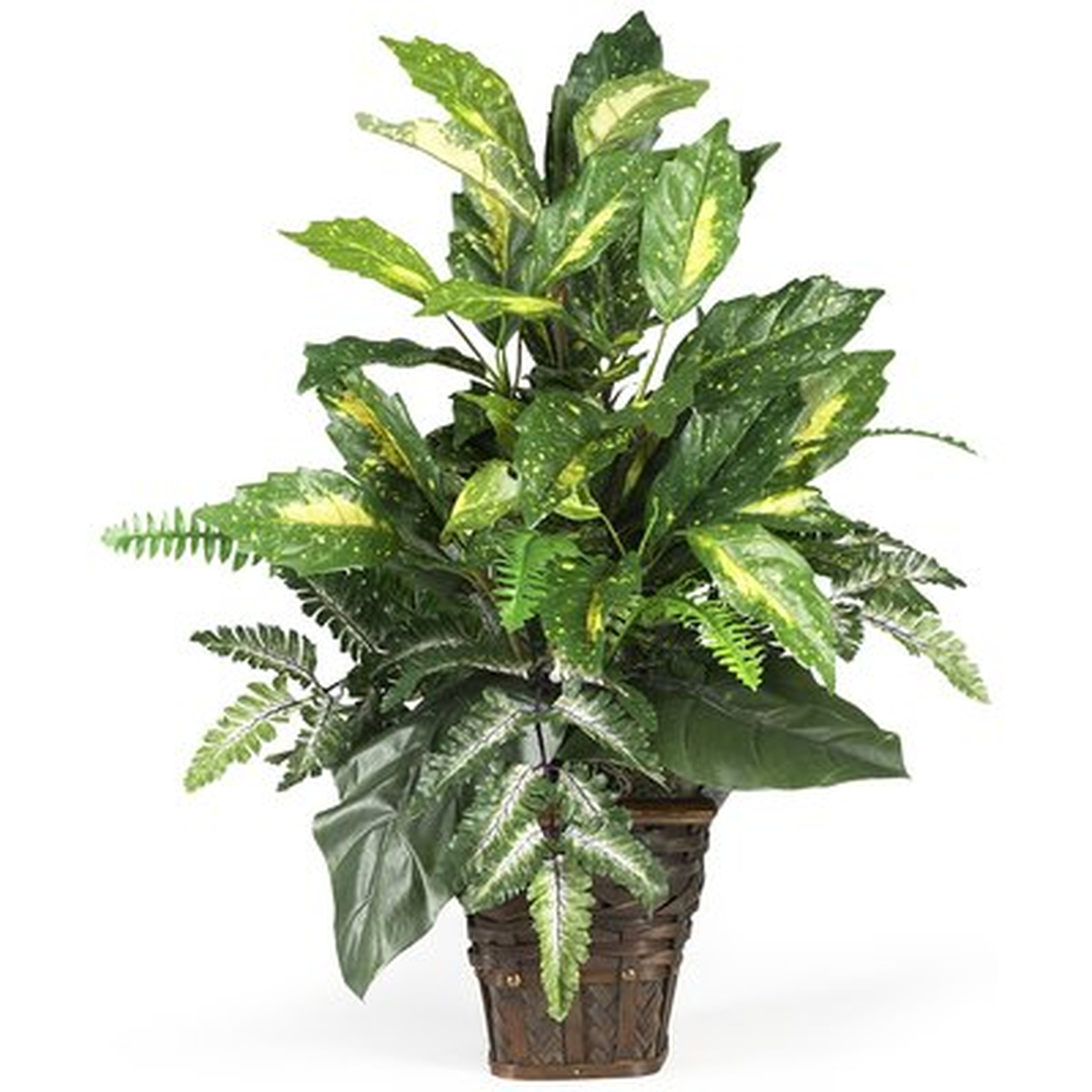 Silk Mixed Greens Foliage Plant in Decorative Vase - AllModern