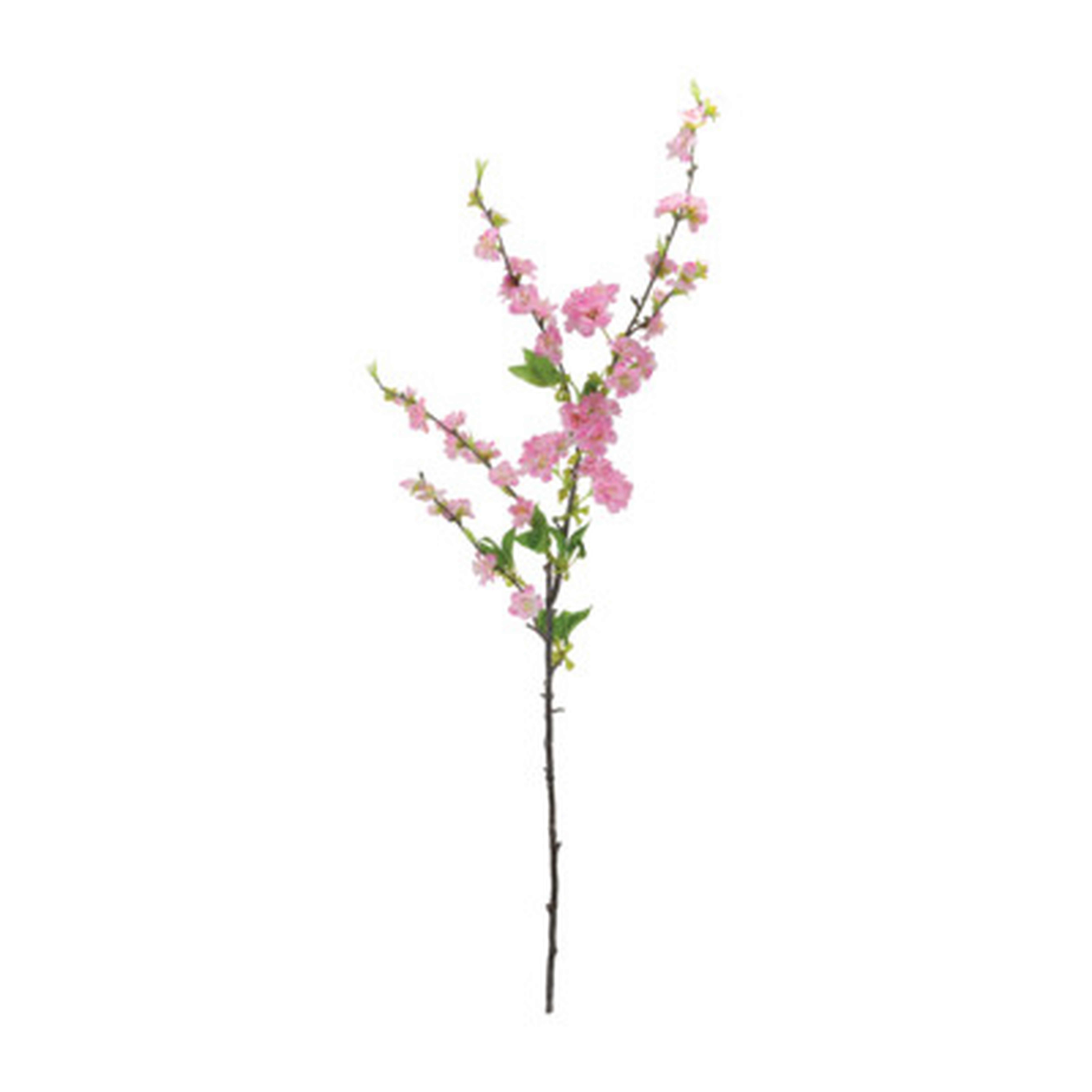 Cherry Blossom Spray (Set of 3) - Birch Lane